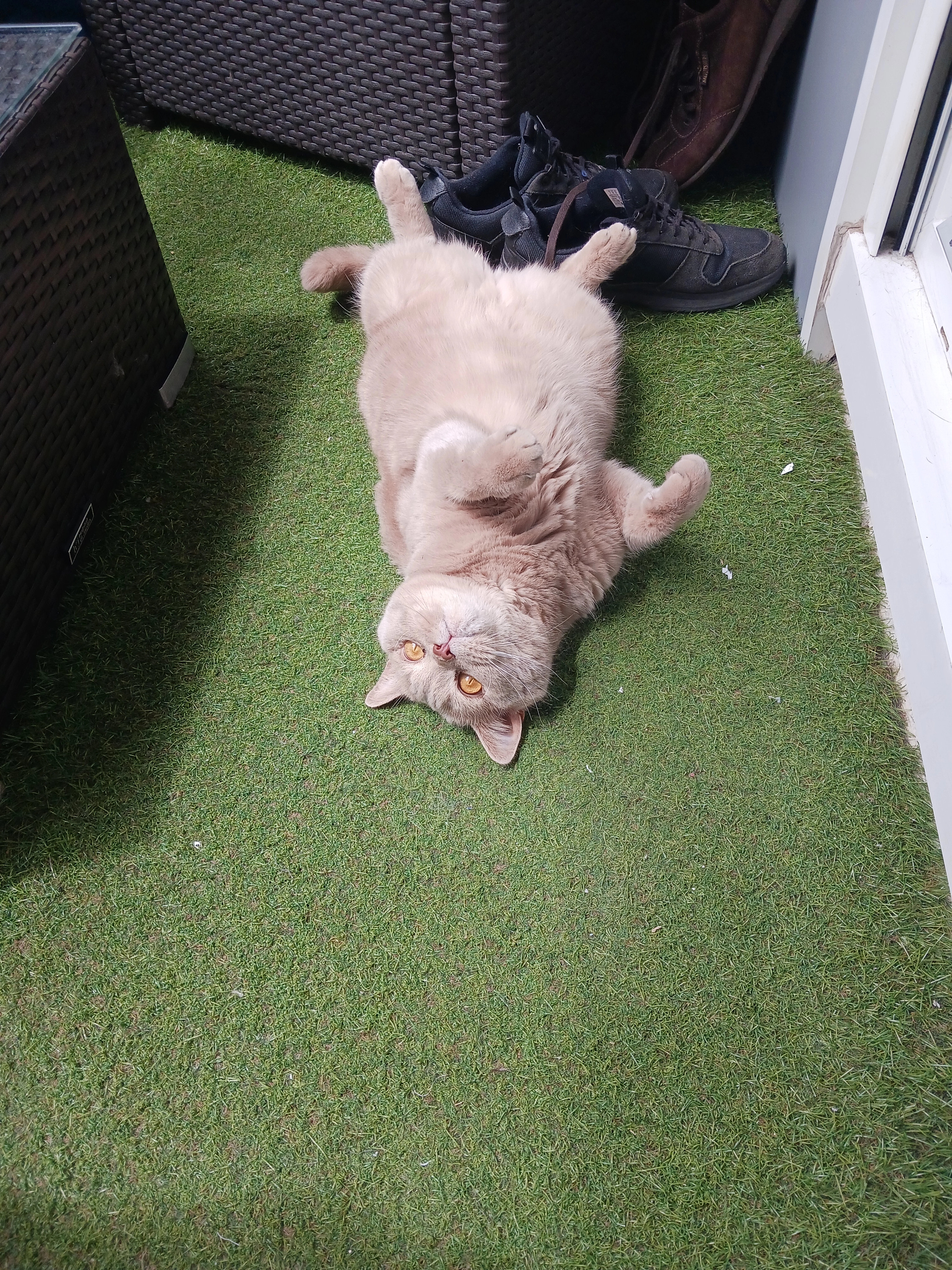 Niska - 246 Rue de la République, Guebwiller