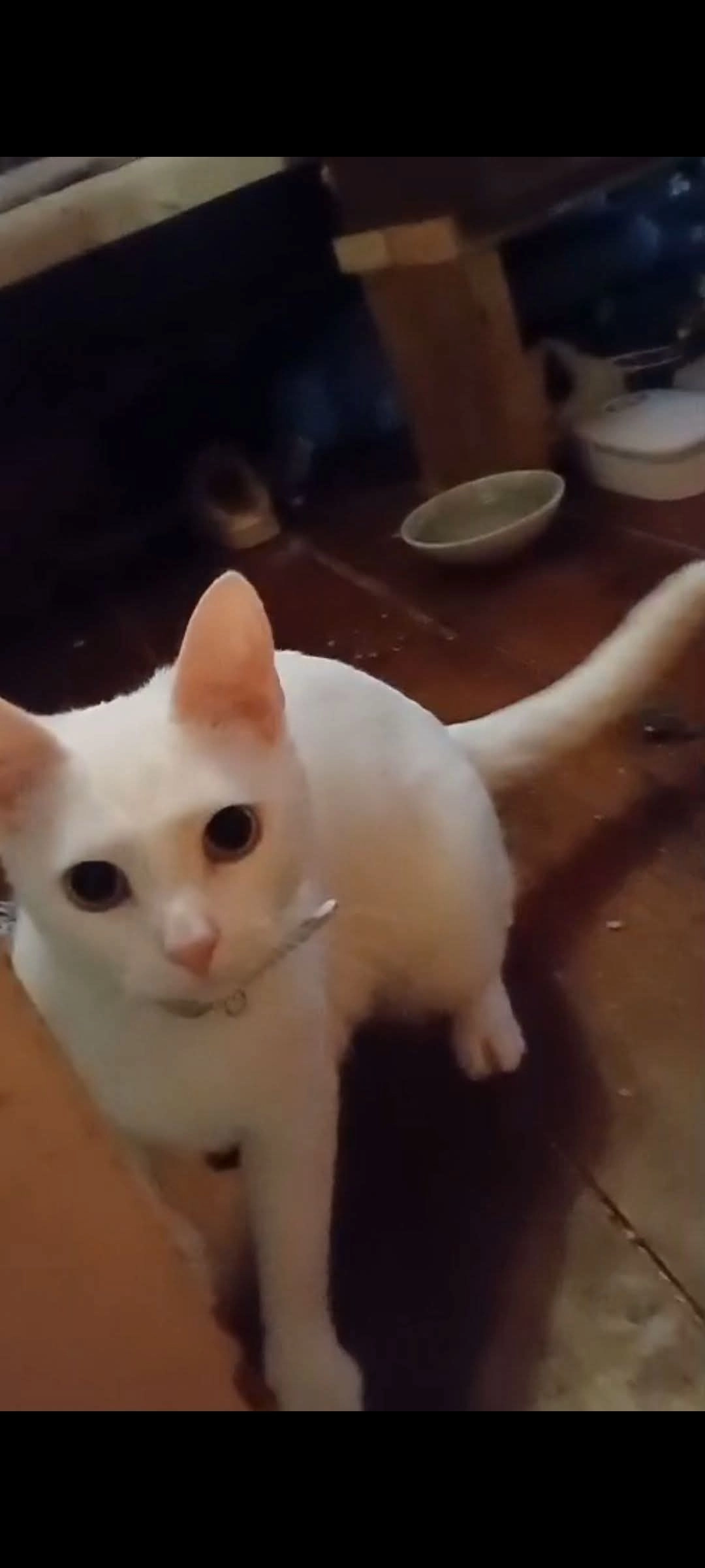 Slug - Church Street, Helston