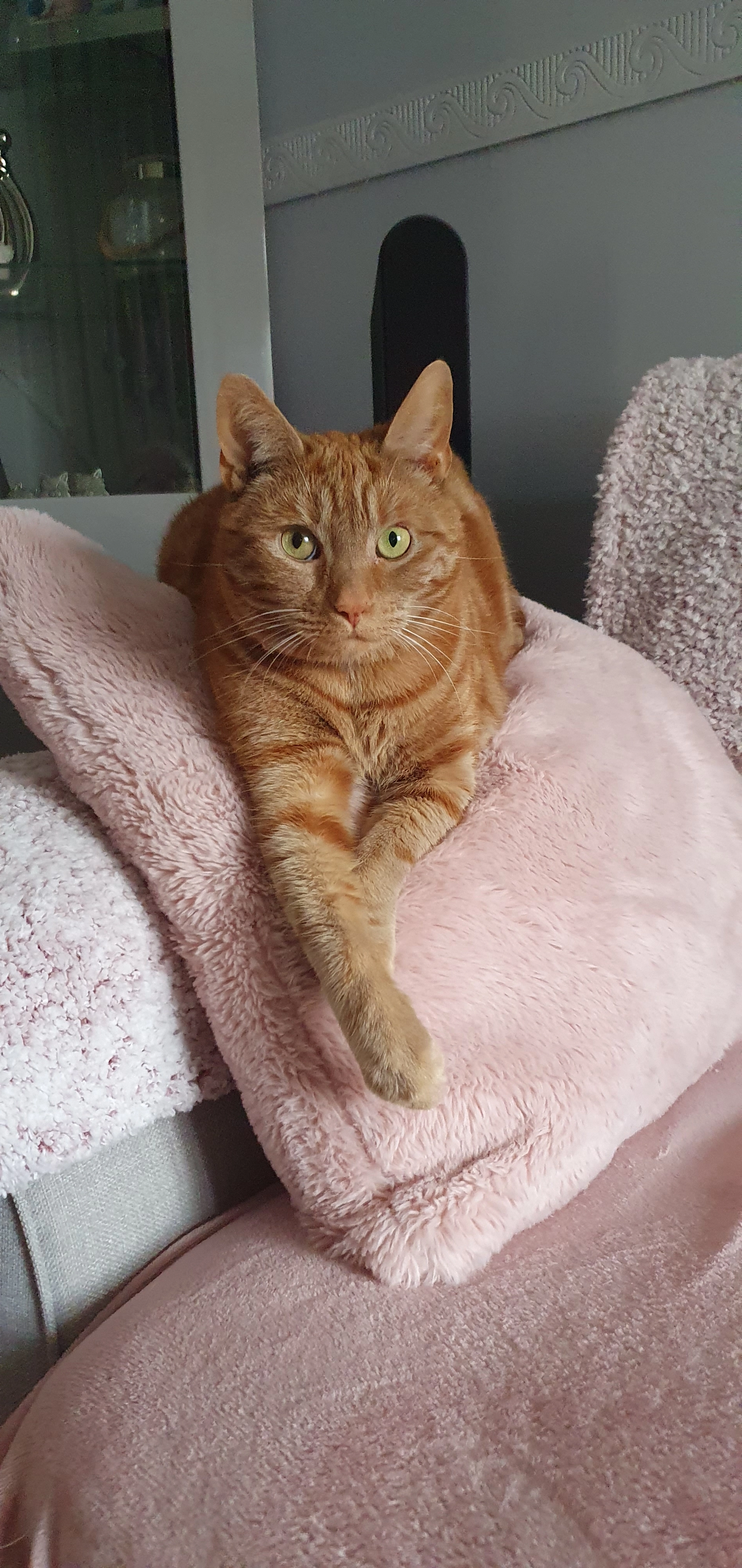 OSCAR - Hamsterly Park, Northampton