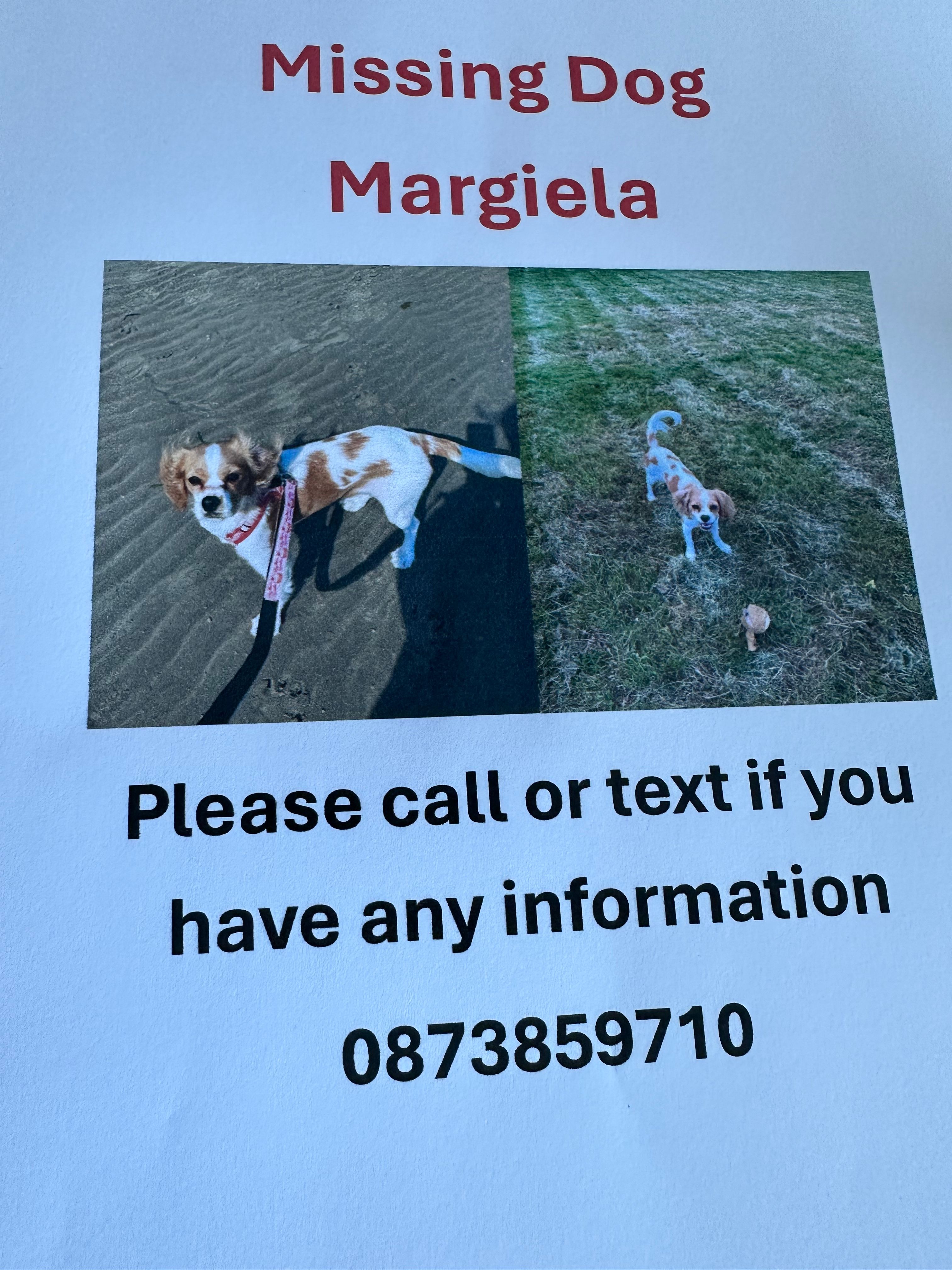 margiela - Merrion Road, Dublin