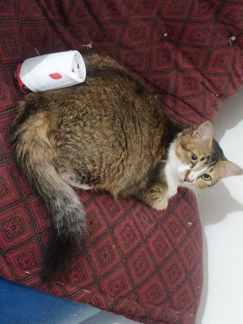 Maudu - Shantipura Road, Aurangabad