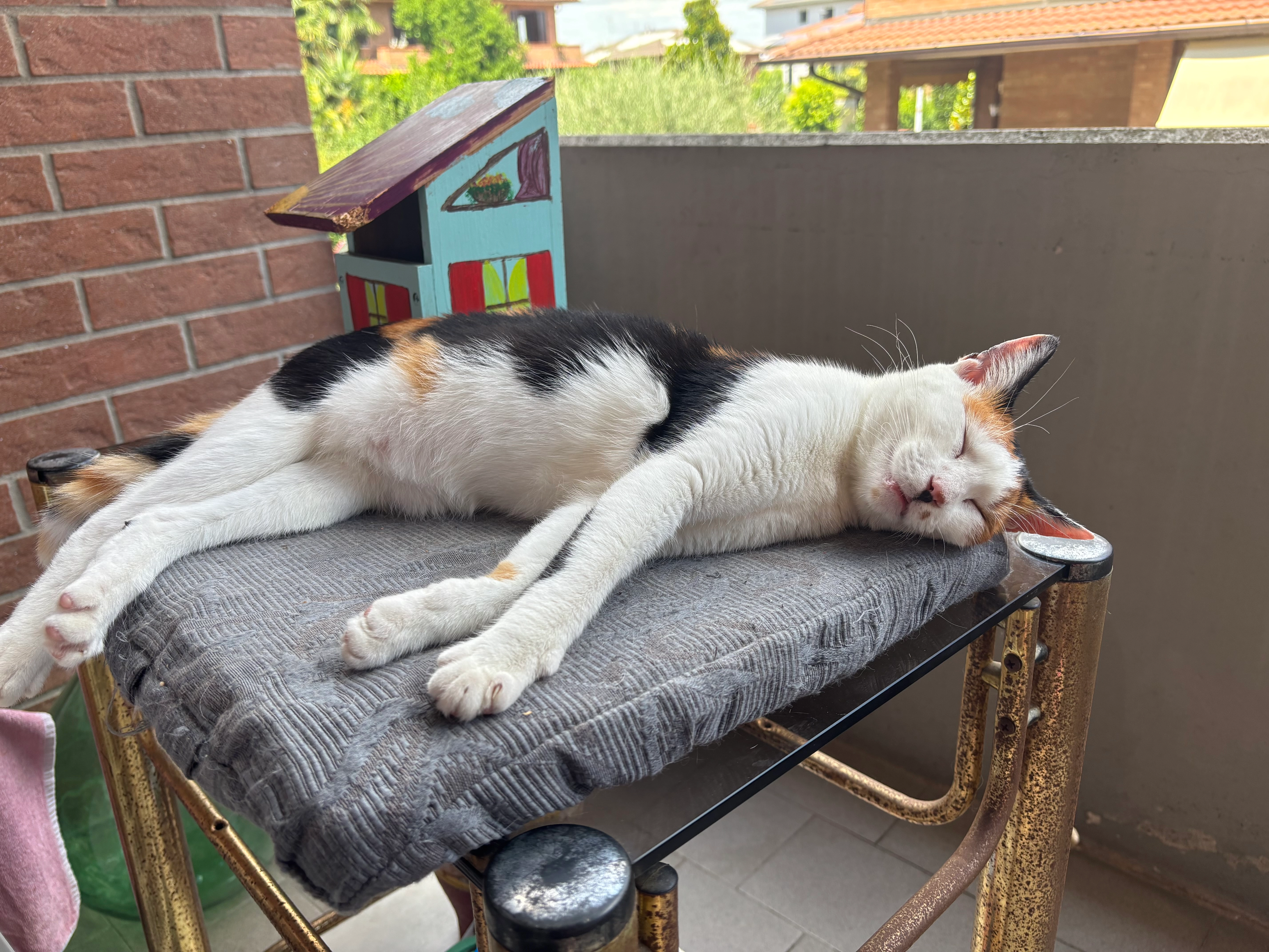 Milu - Via Liguria, Formigine