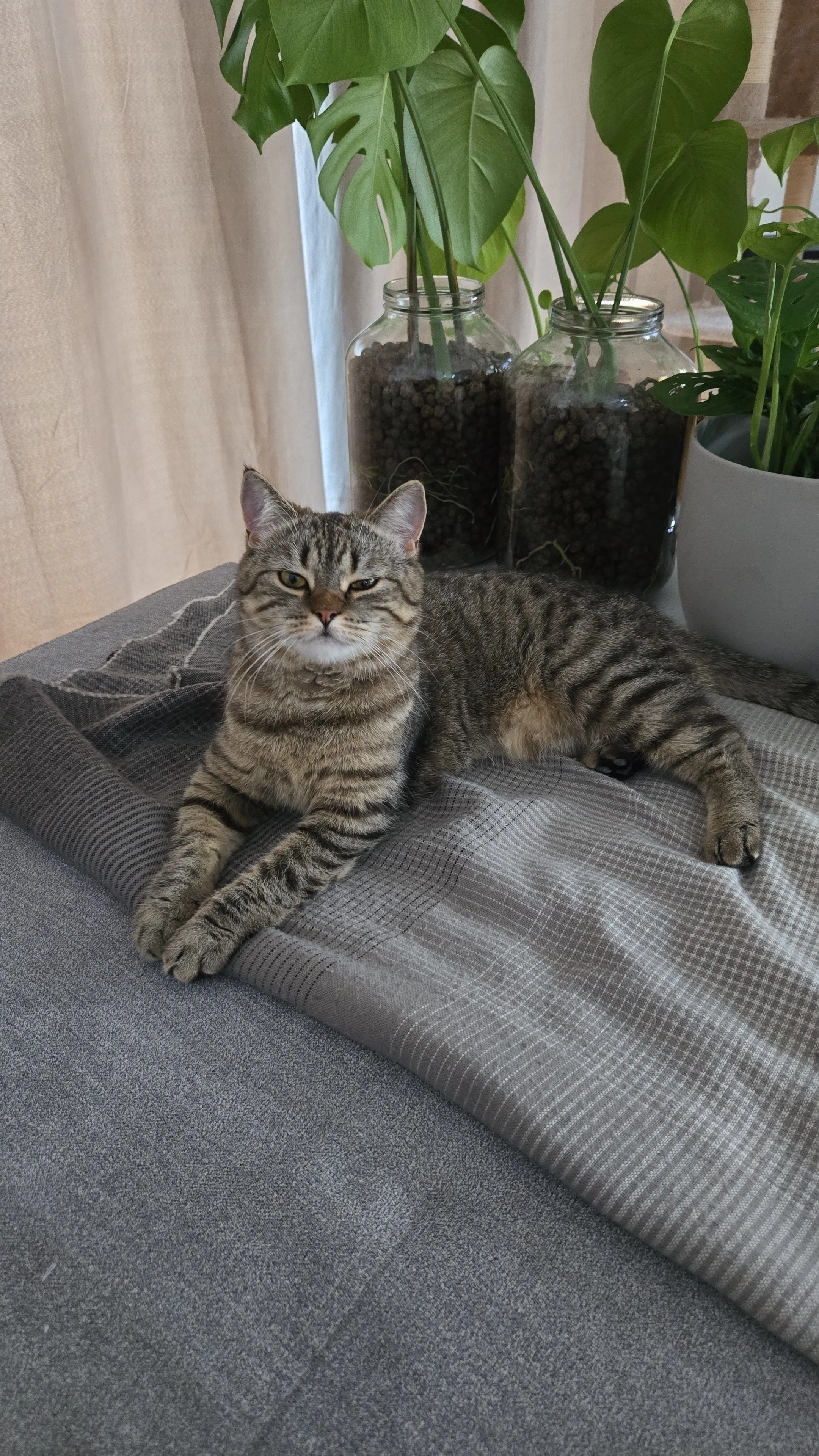 Mowgli - Am Osterberg, Storkow