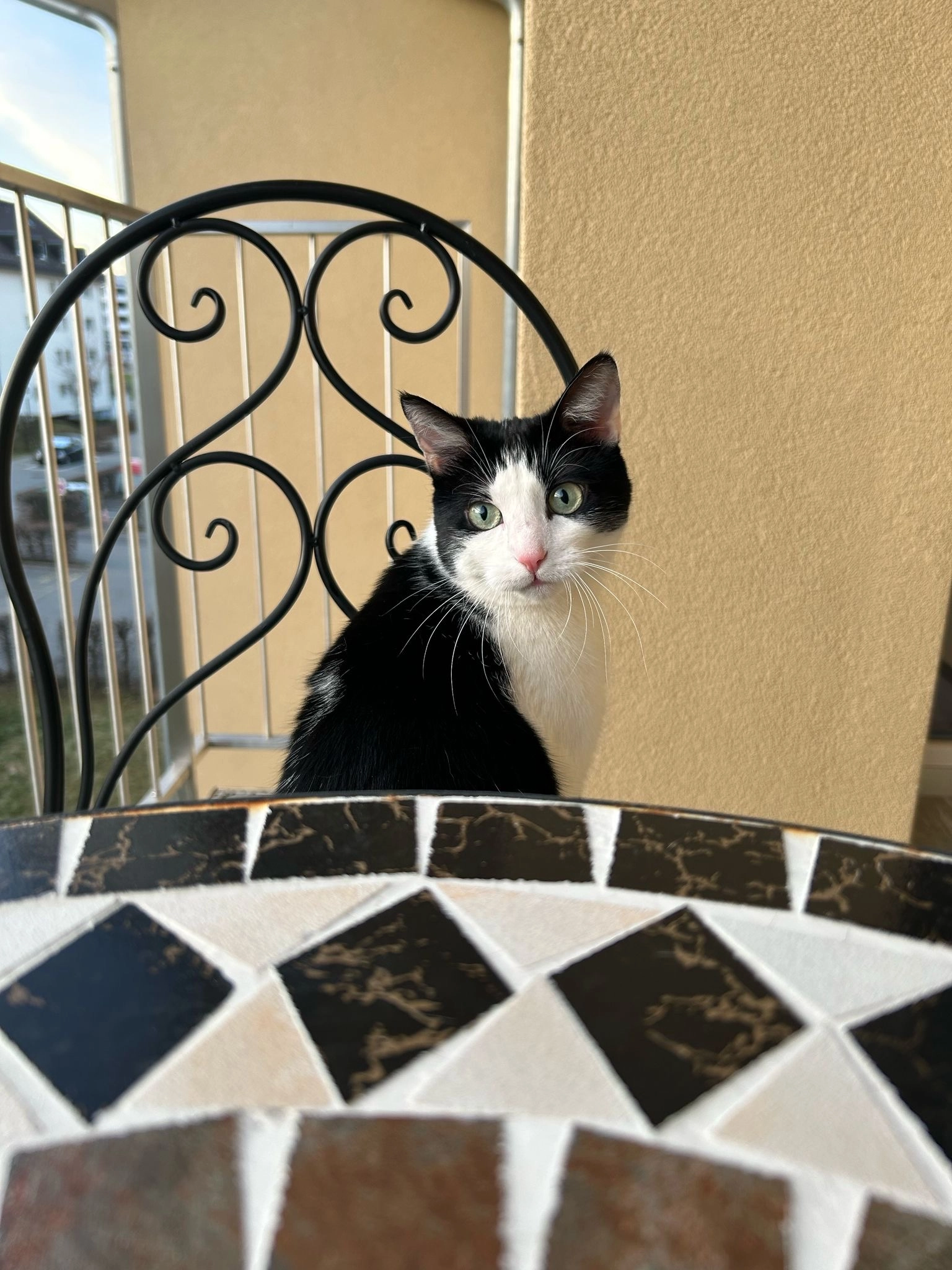 Tadej - Rue de la Vudalla 32, Bulle