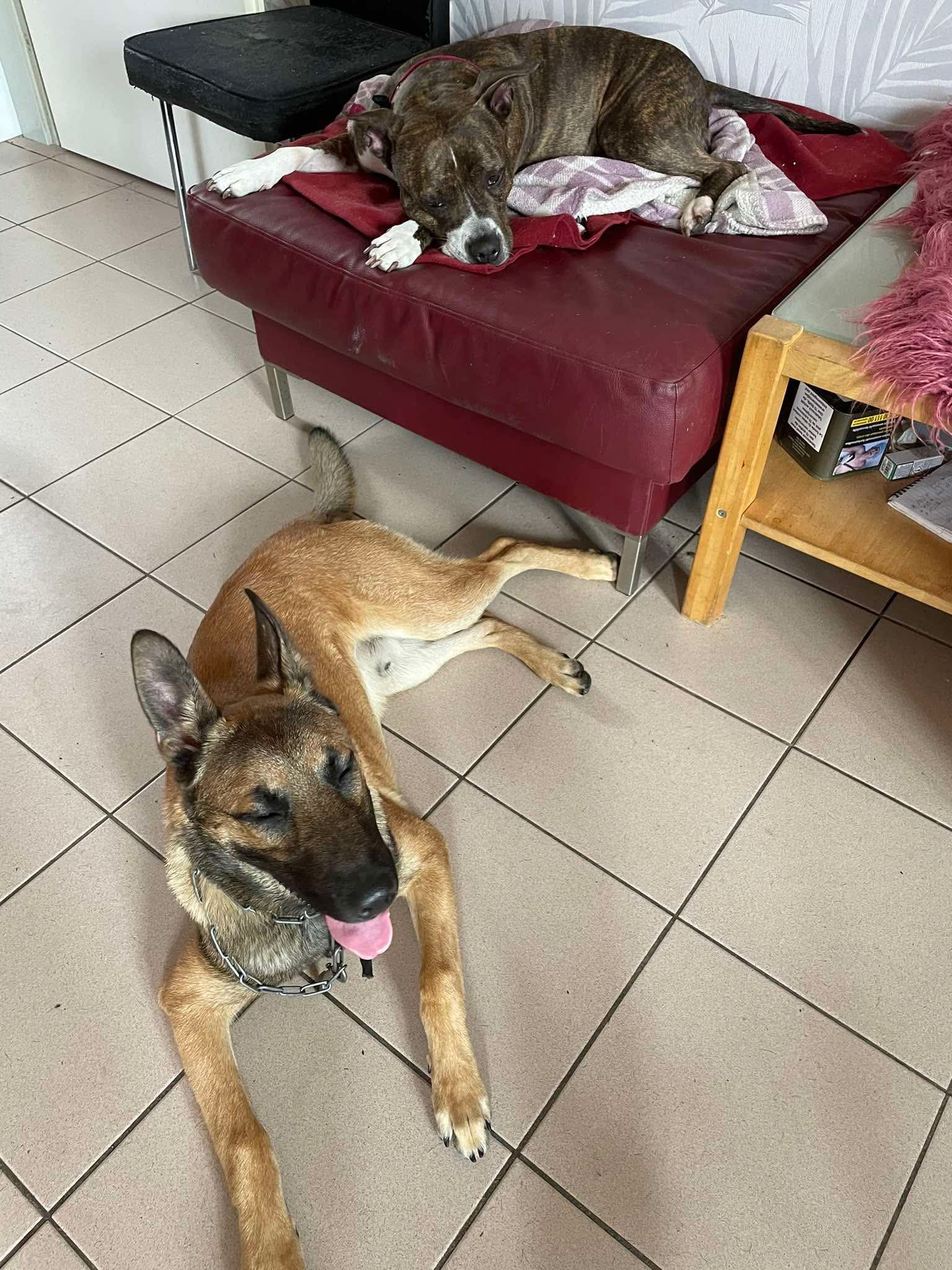 Mike - Rue Ketels, Brussels