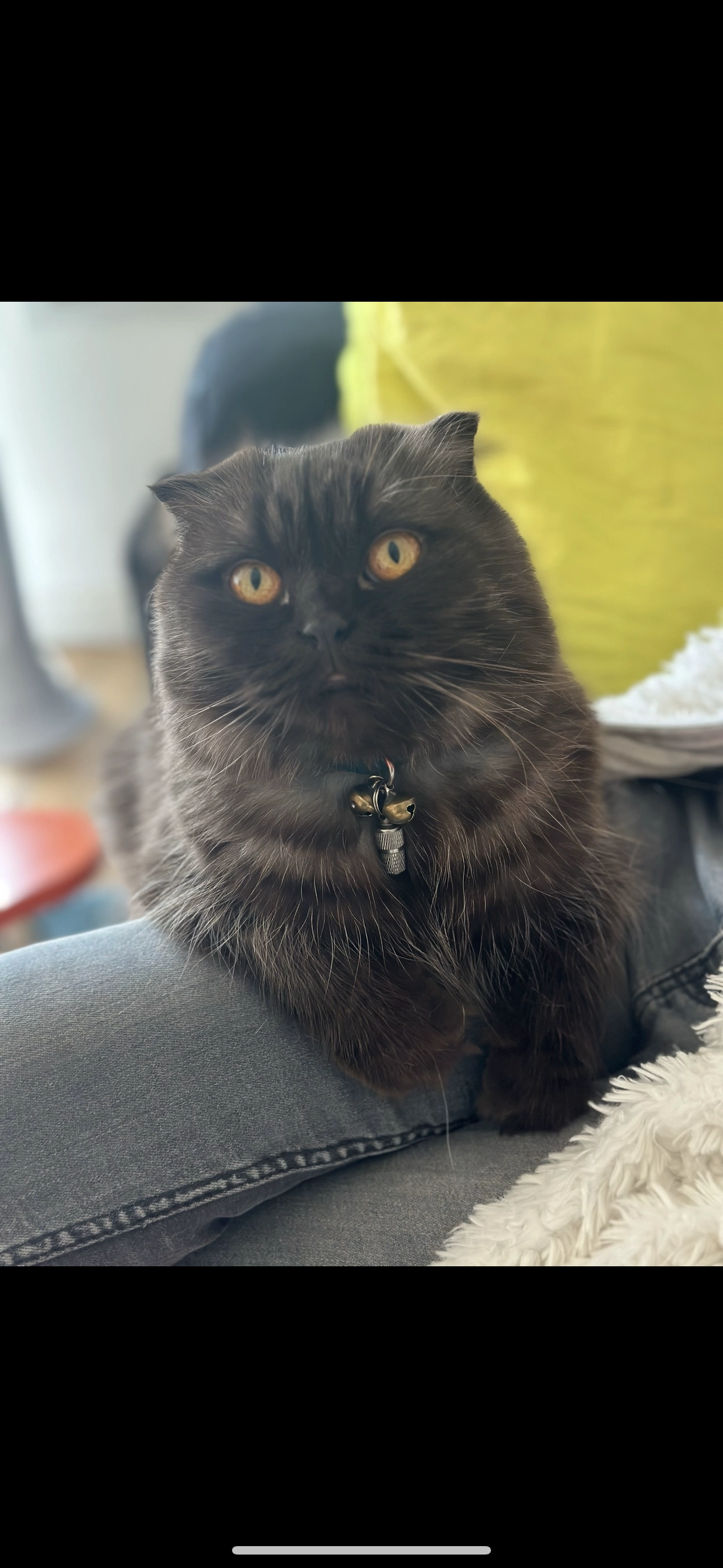 Praline  - Rue des Beaux Jardins, Pont-à-Marcq