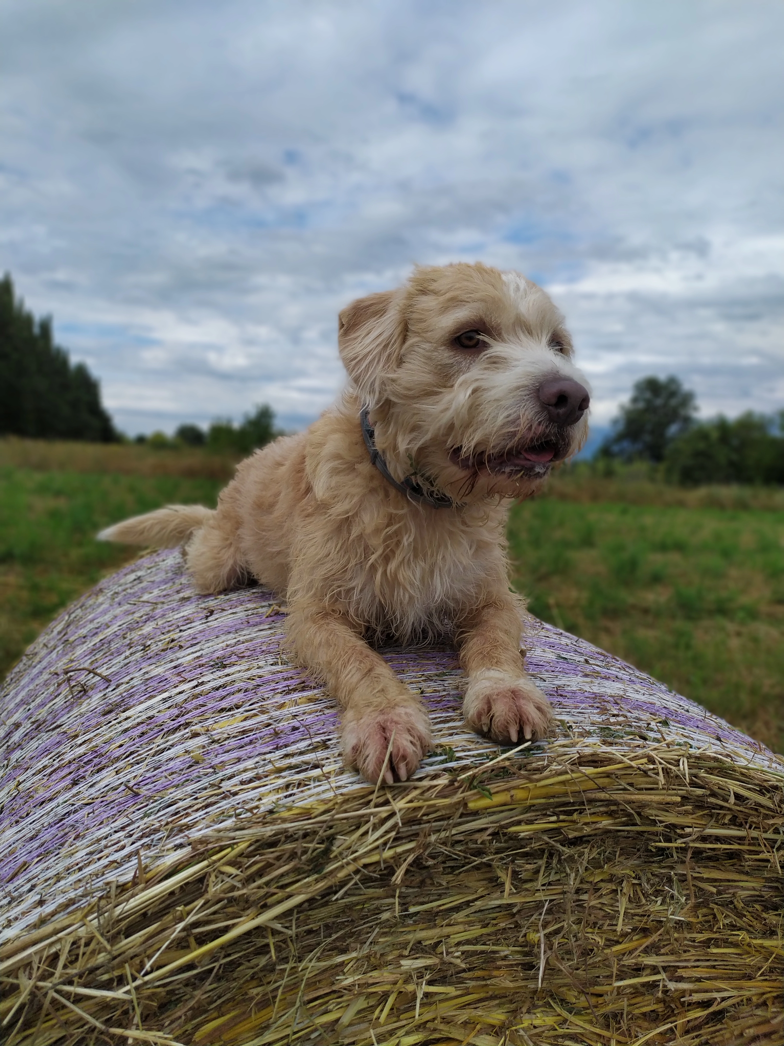 Lucky - Boulevard John Fitzgerald Kennedy, Perpignan