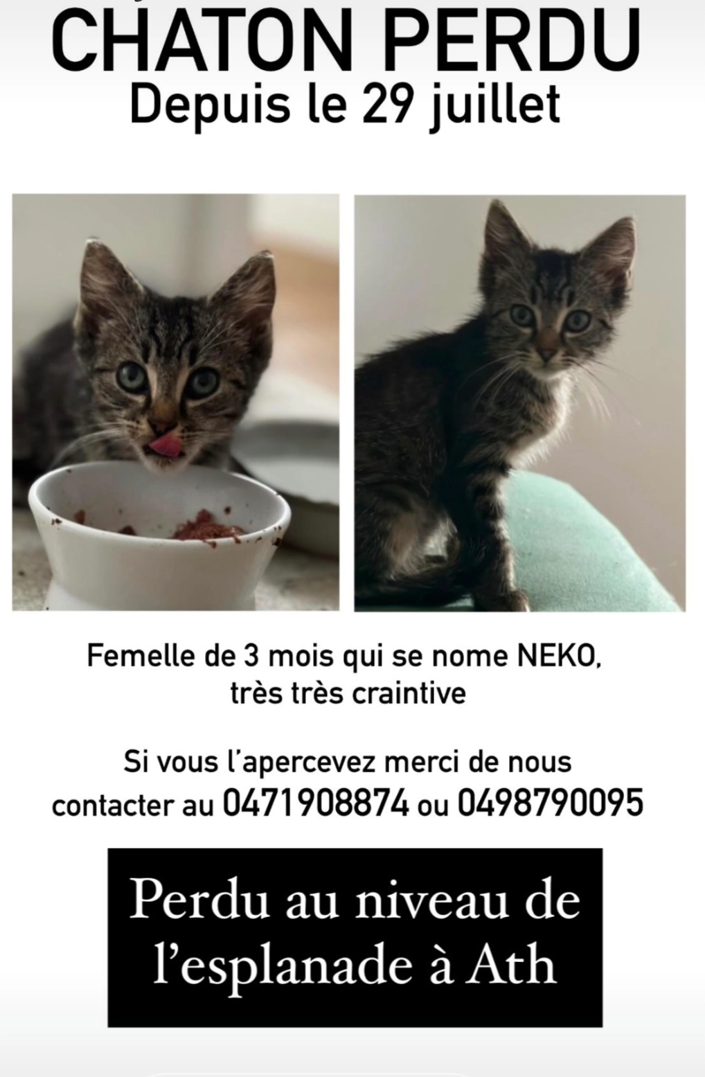 Neko - Esplanade, Ath