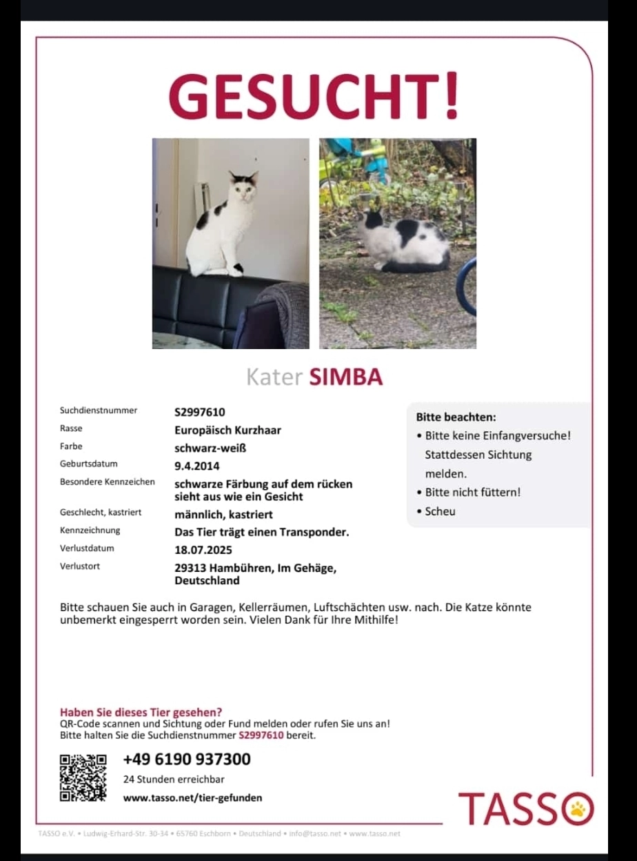 Simba - Im Gehäge, Hambühren