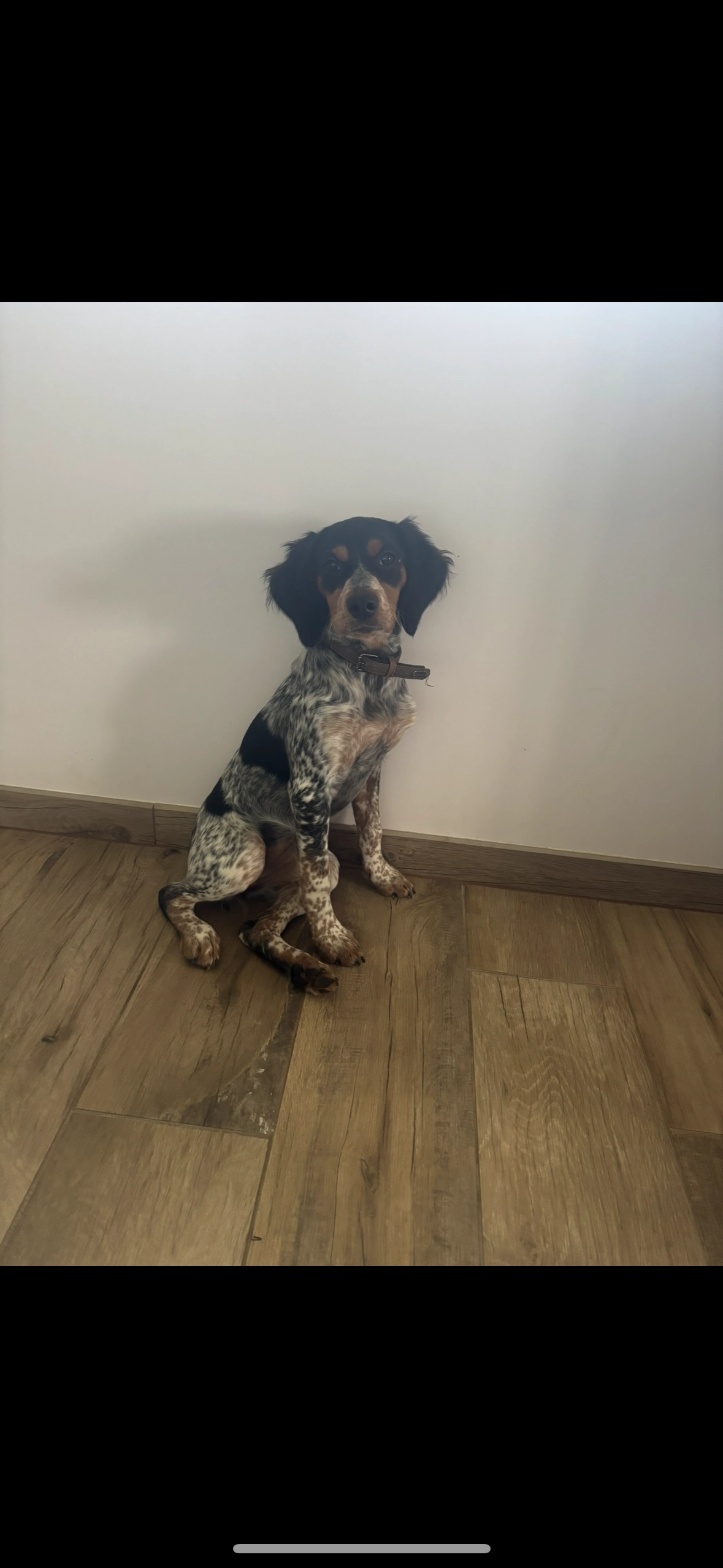 Aïka - Rue Jacqueline Auriol, Le Russey