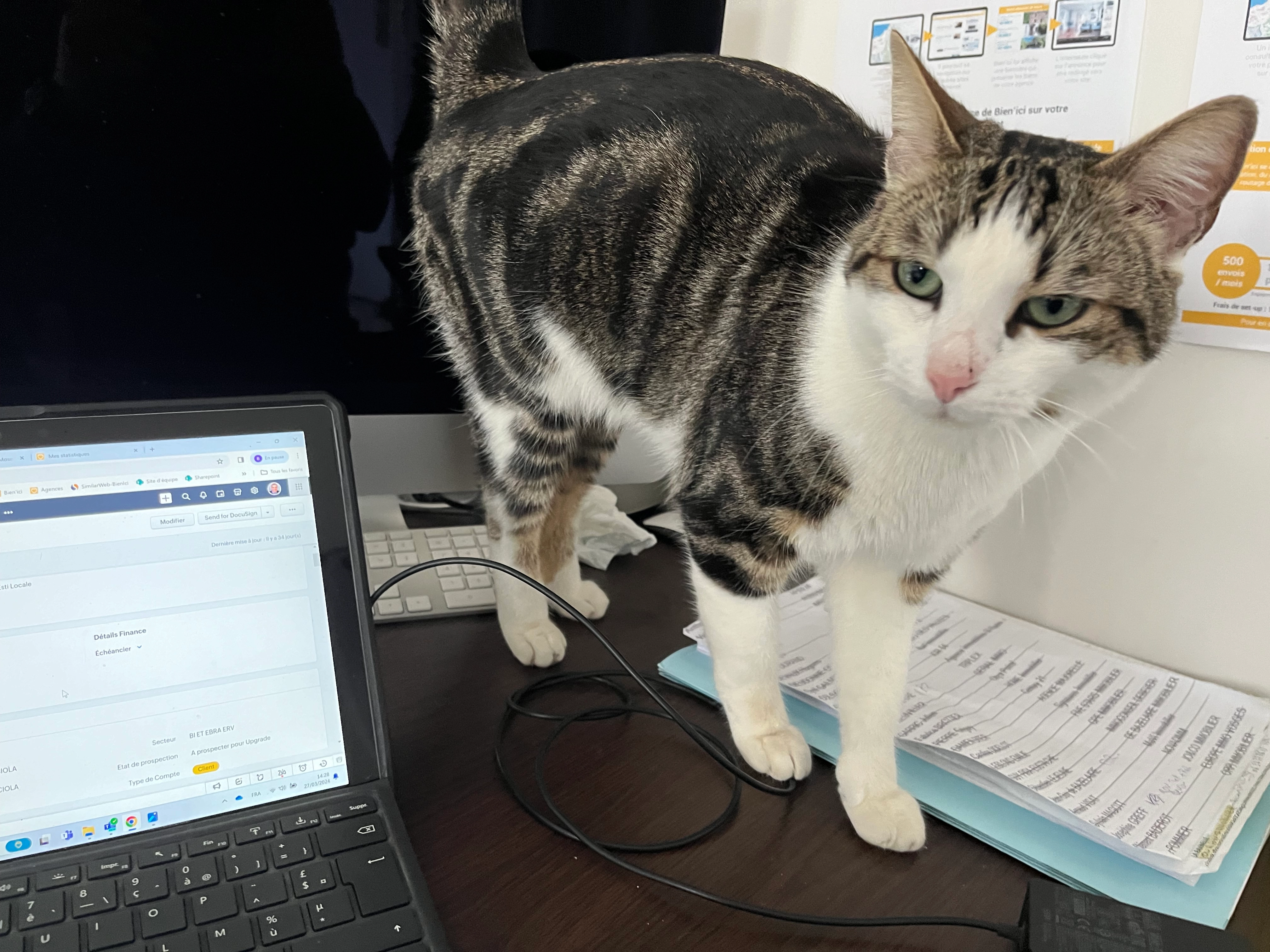 Kiwi - Rue des Vignattes, Villers-lès-Nancy