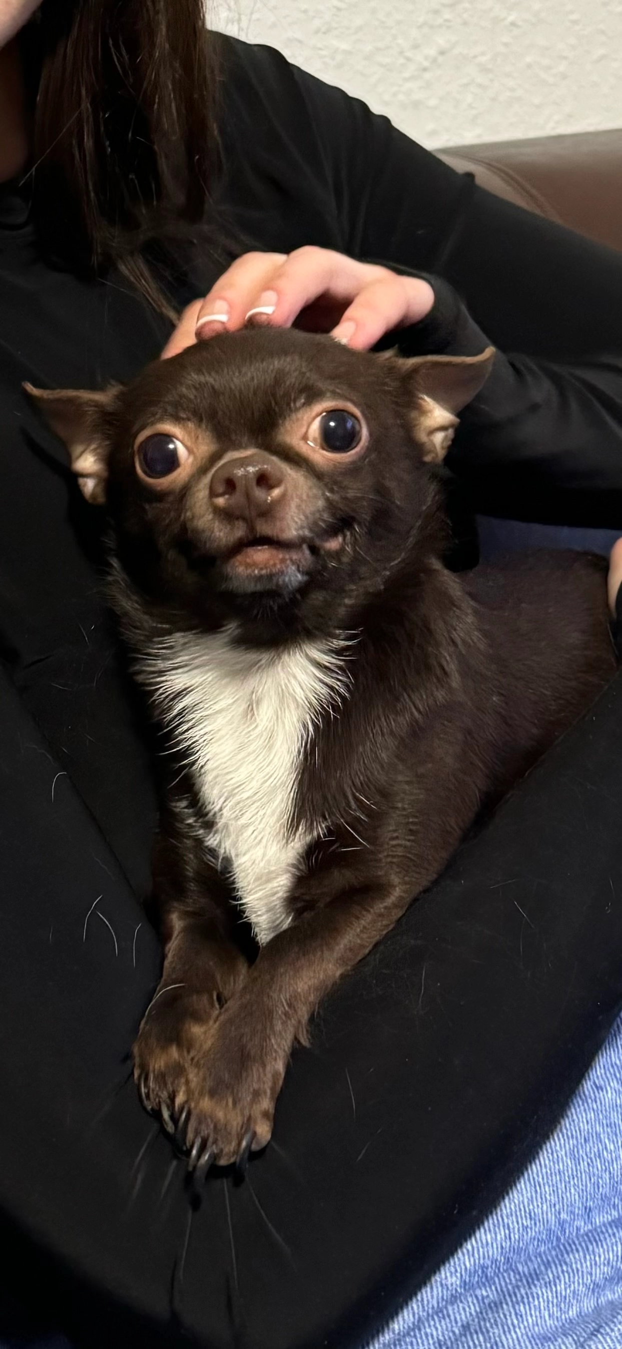 Archi - Geisbergstraße, Köln