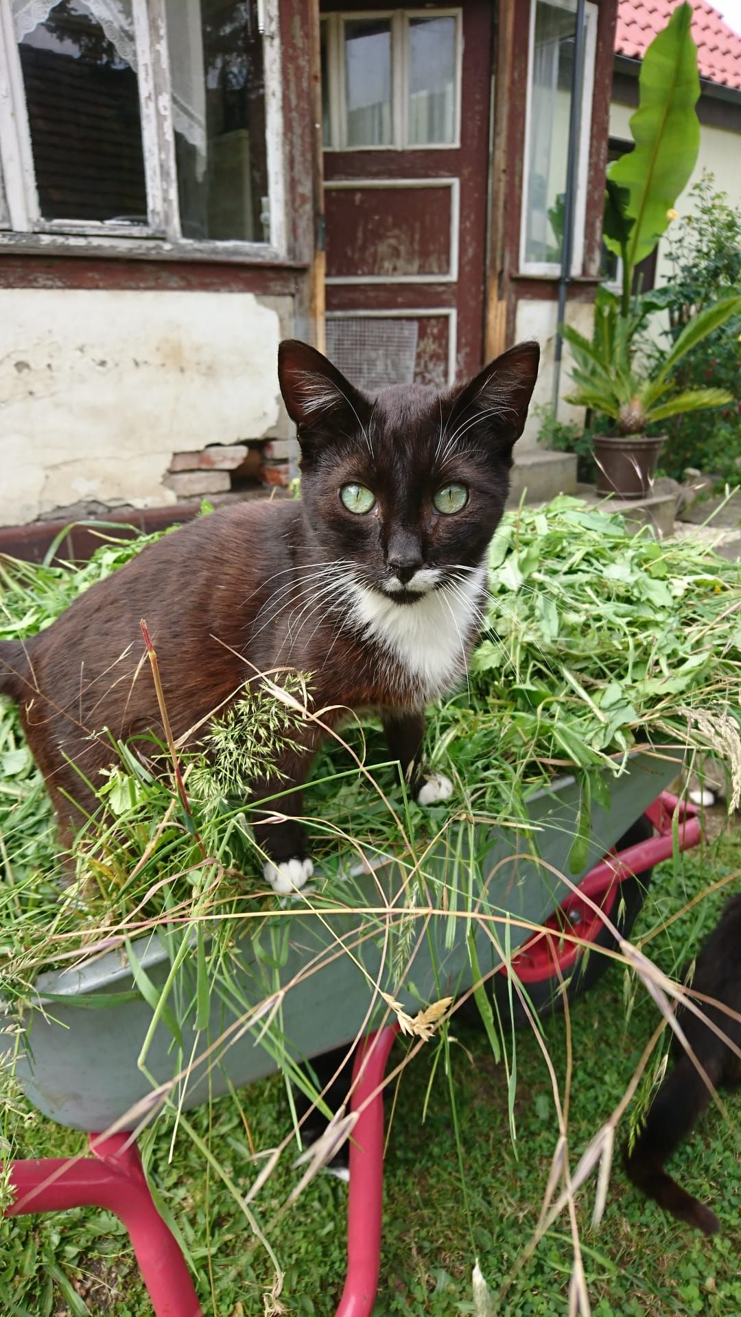 Moi - Laubsdorfer Hauptstraße 18, Neuhausen/Spree
