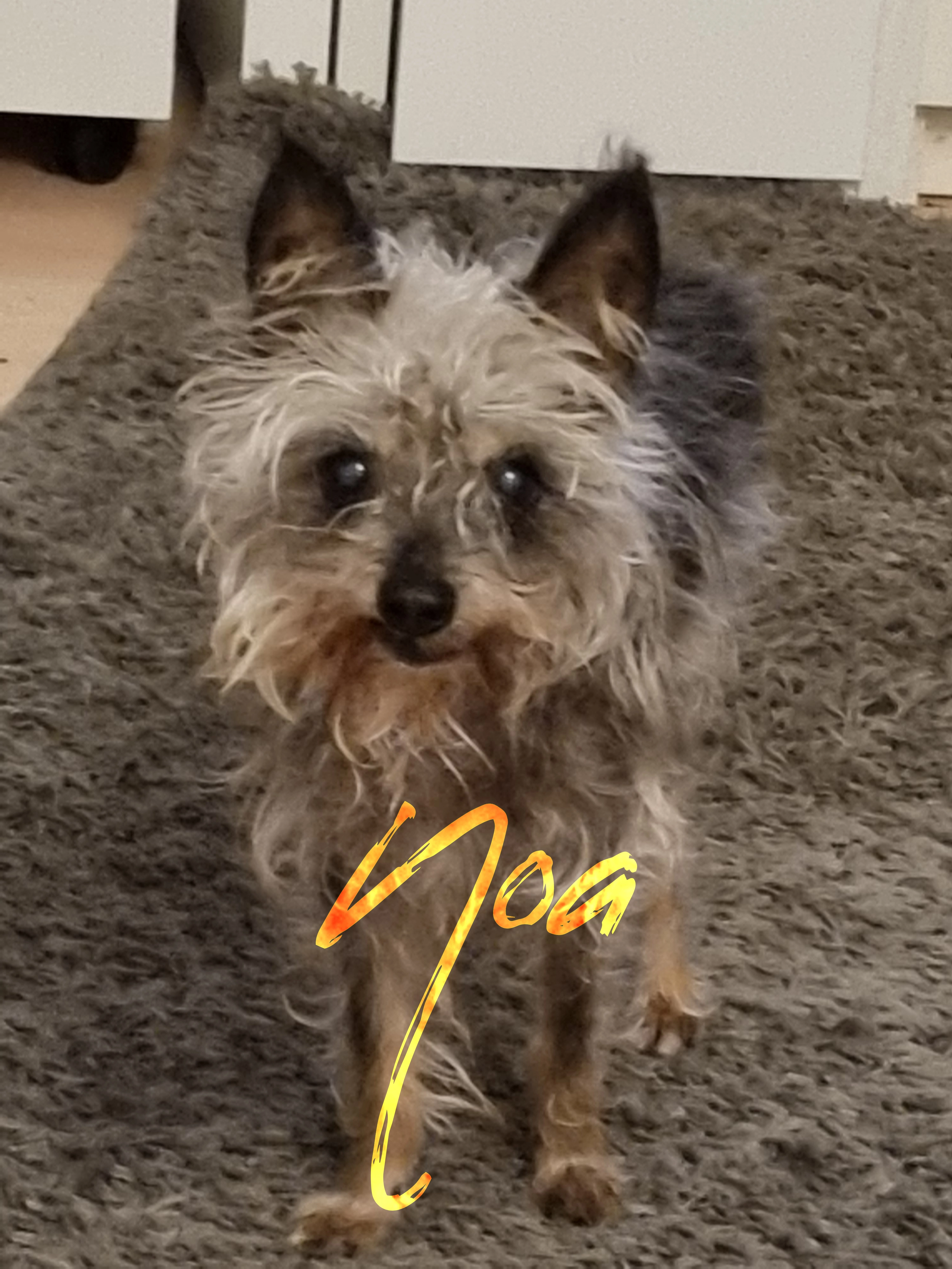 Noa - Avenariusstraße, Nürnberg