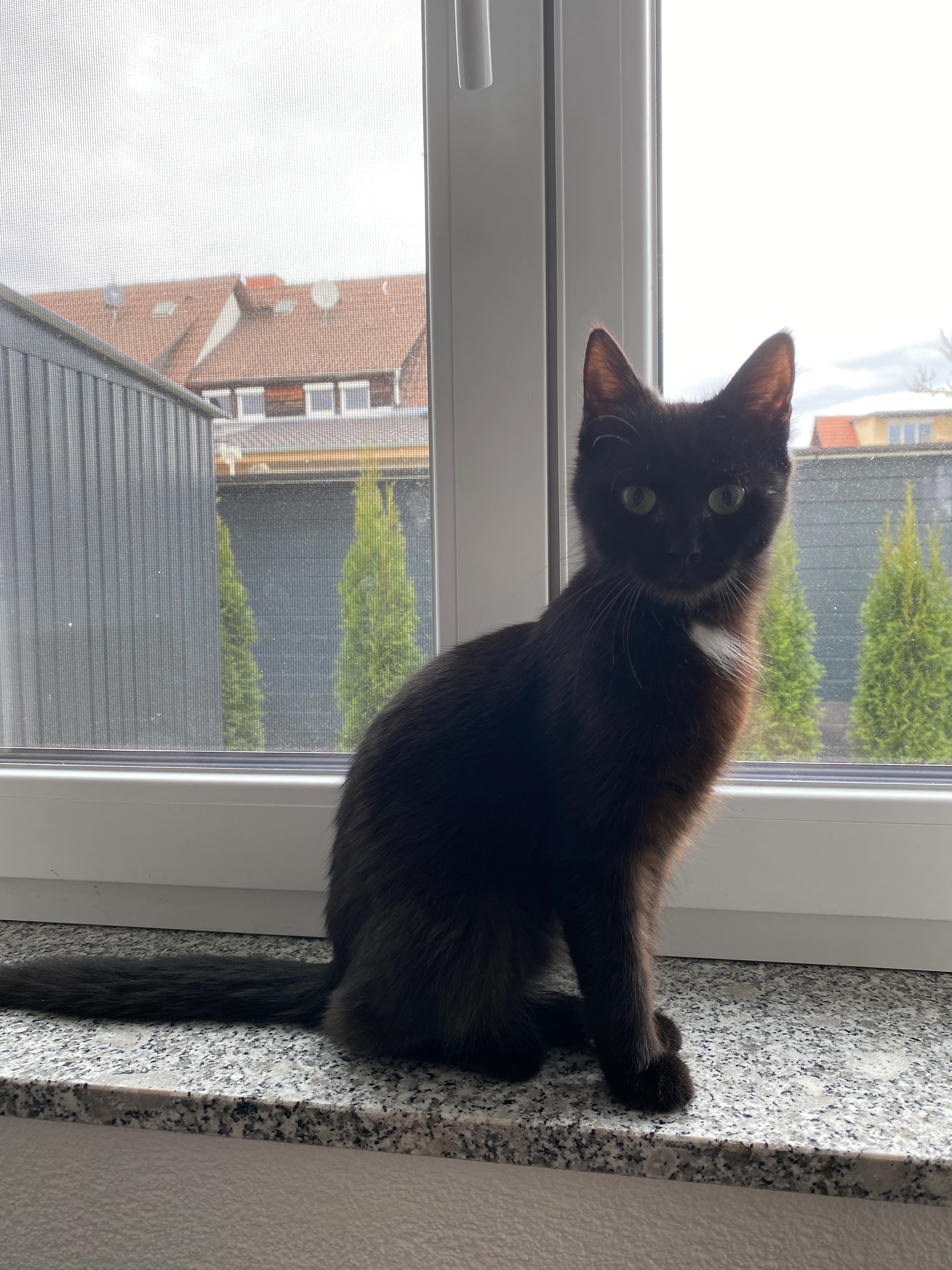 Milo - Friedenstraße, Hüfingen