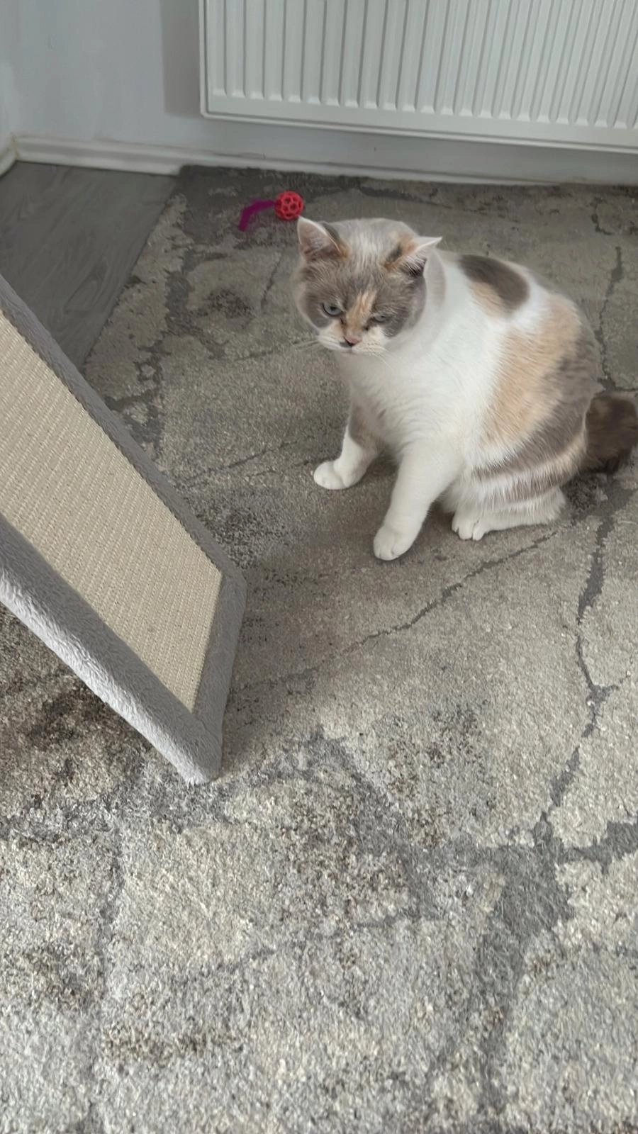 Solaris - 47138, Duisburg