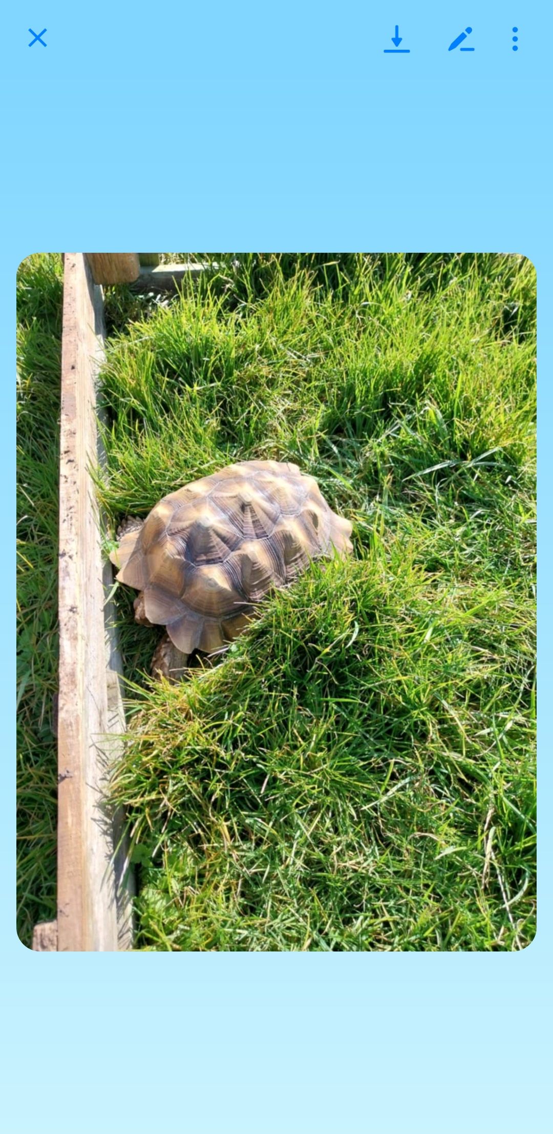 Yuko - 407 Route de Dieppe, Saint-Vaast-d'Équiqueville