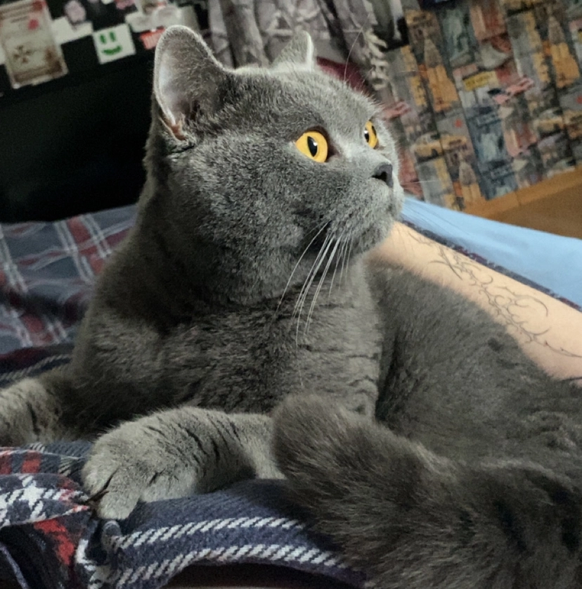 Balu - Eisvogelweg, Barsinghausen