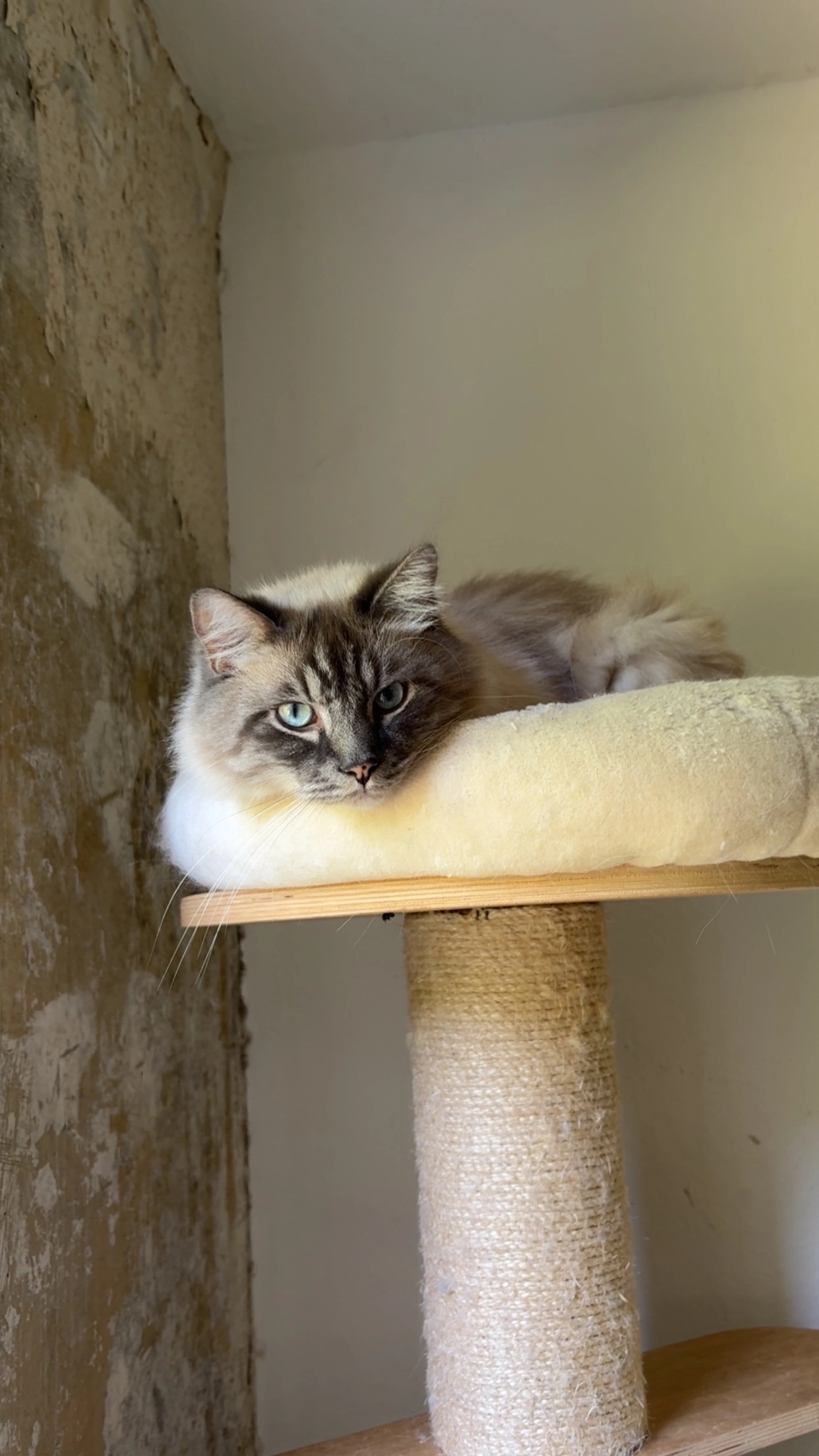 Mogli - Orionstraße, Bernau bei Berlin