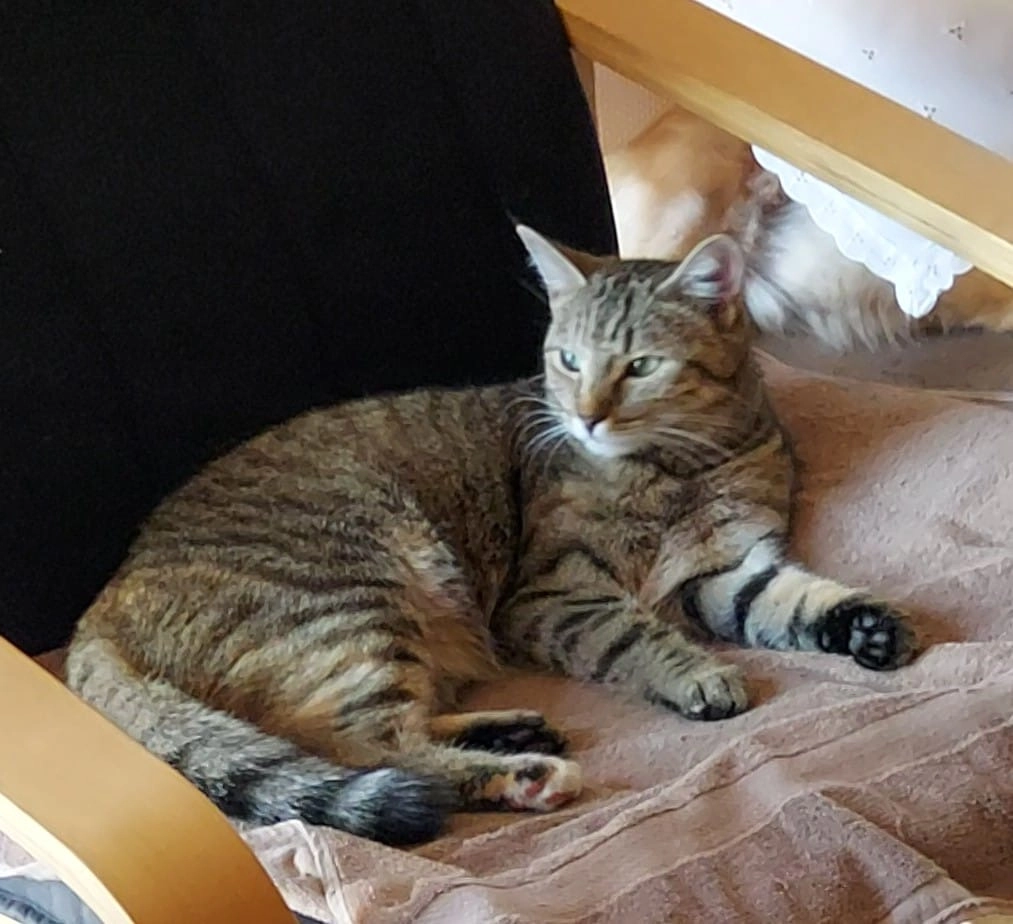 Ilvy - Zeithstraße, Neunkirchen-Seelscheid