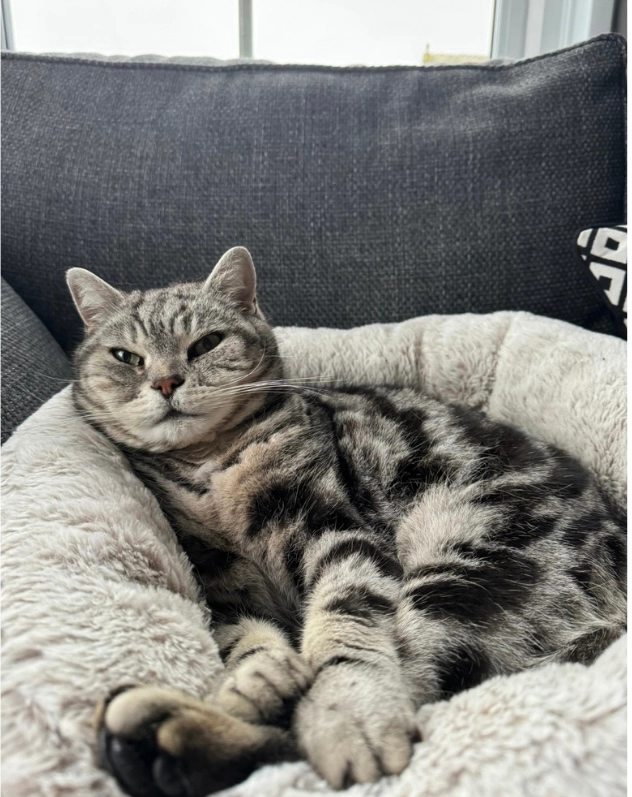 Alfie - Rydon Avenue, Kingsteignton