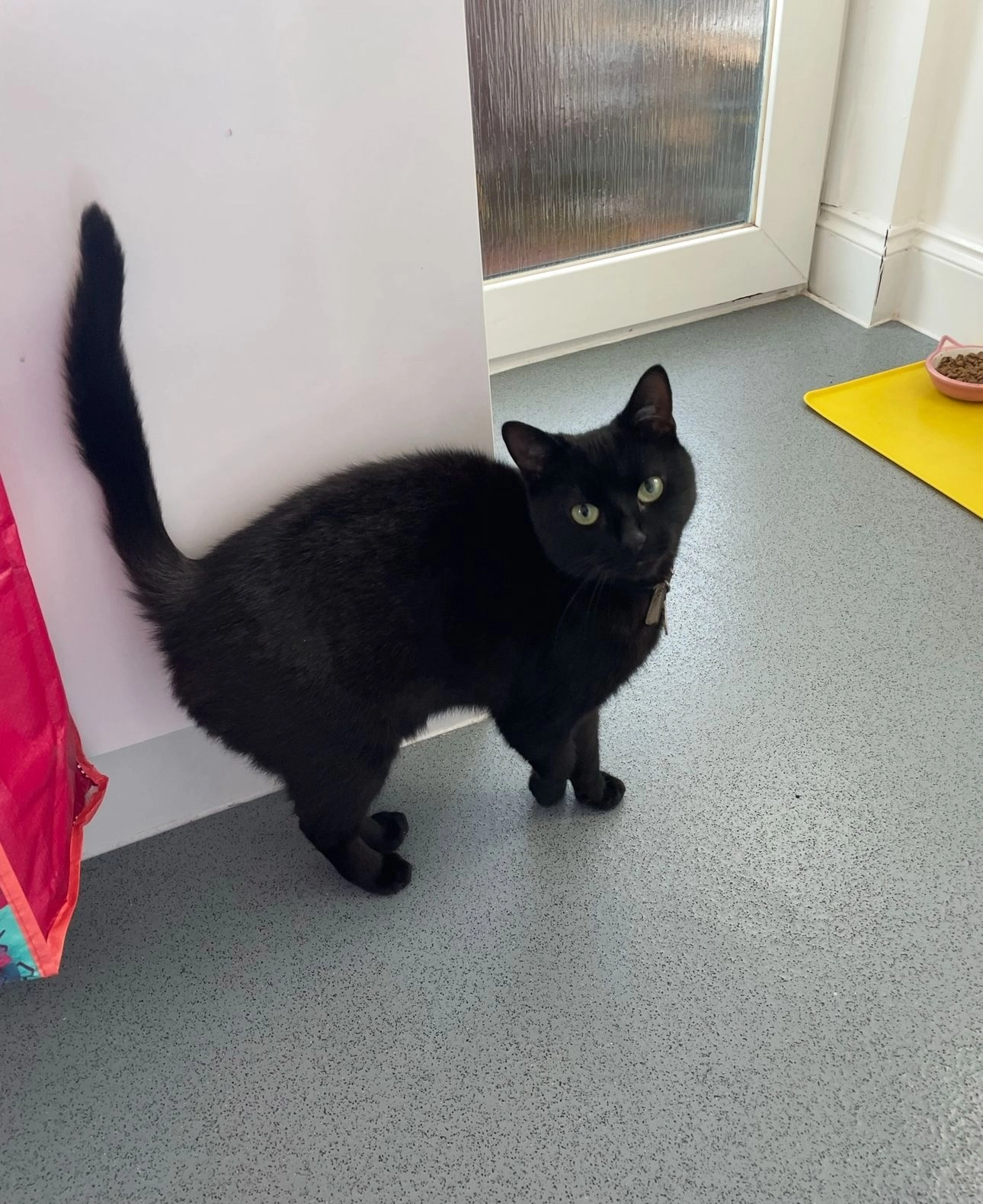 Skye  - Brookwood Lye Road, Woking