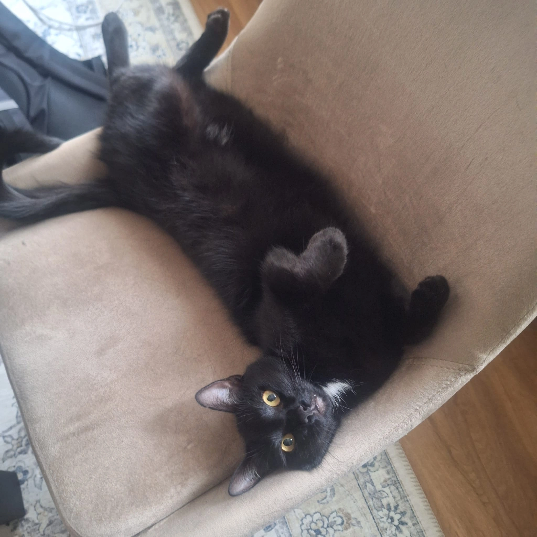 Raya - Herderstraße, Bielefeld