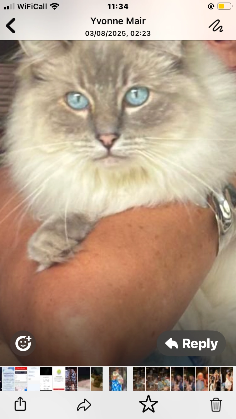 Bobo - Manor Gate, Newton Mearns