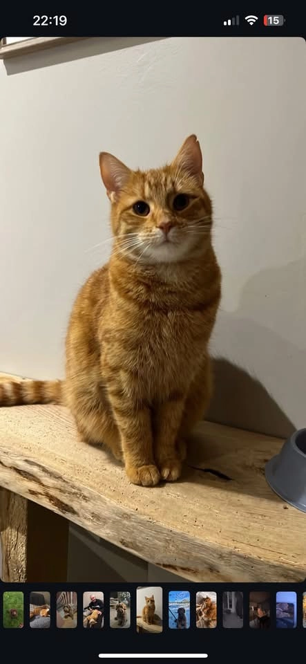 Fanta - Rue De La République, Mévoisins