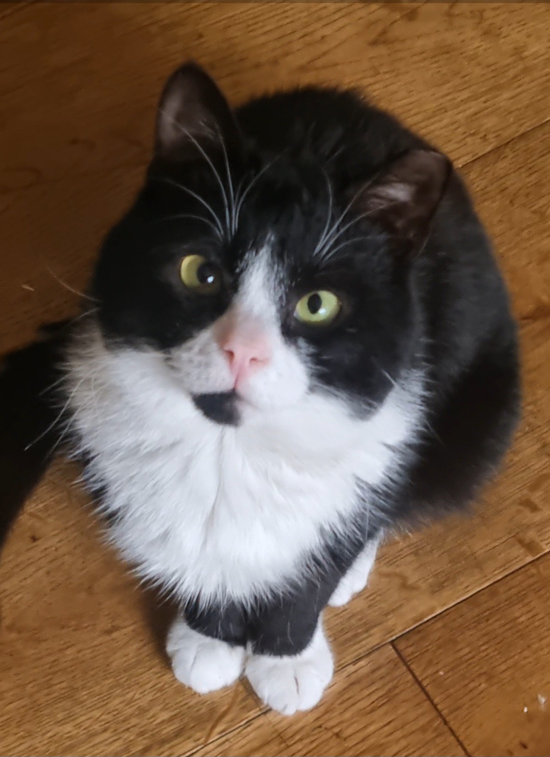 Snuggles - 5 Glaisdale Road, Bristol