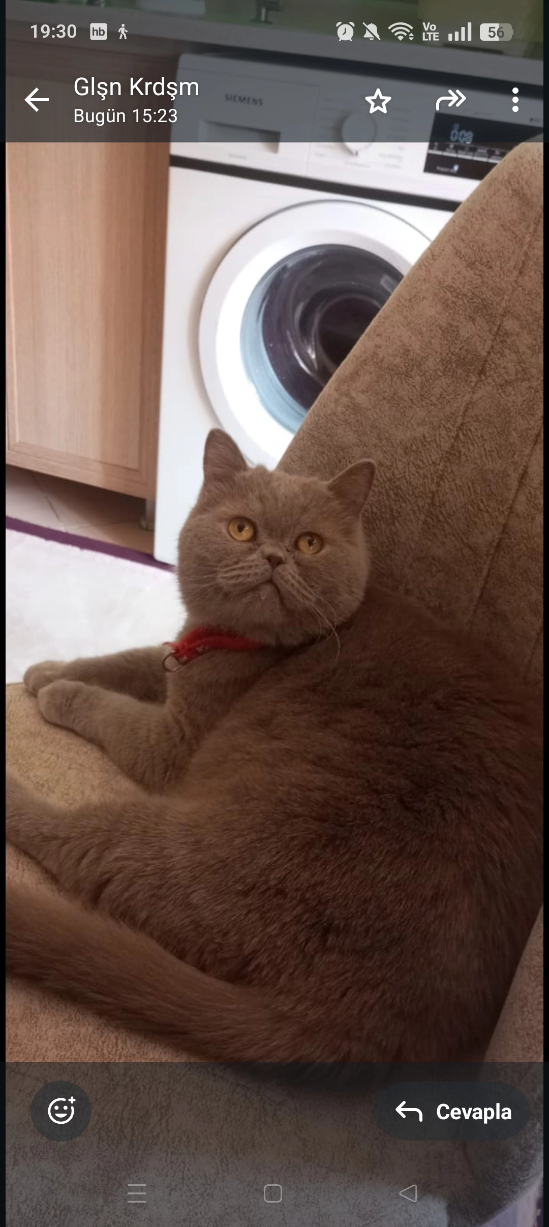 Poblo - 1396. Sokak, Keçiören