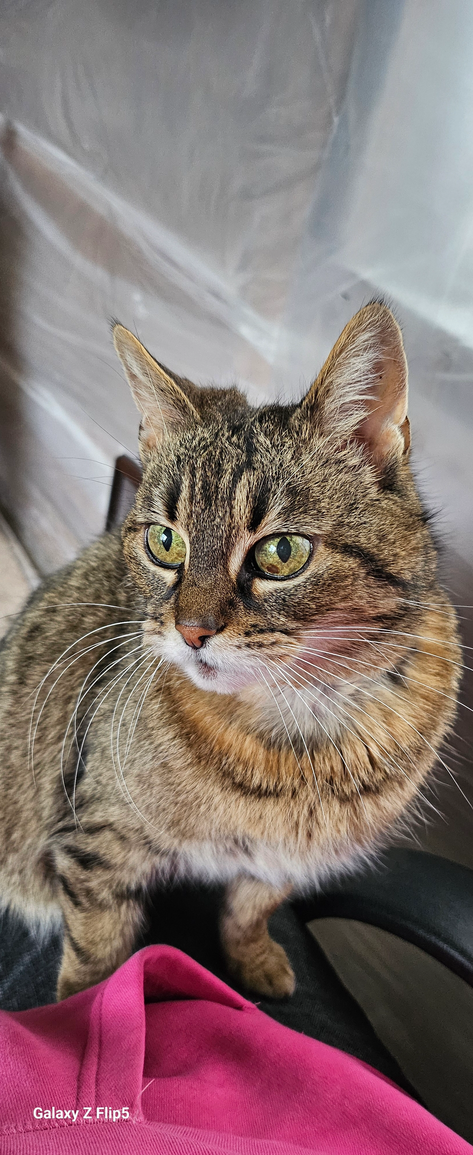 Luna - Gatcombe Close, Reading