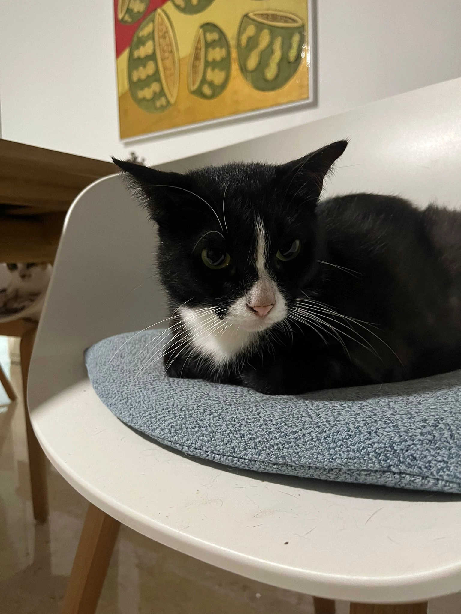 Franzi - Vášové, Prague