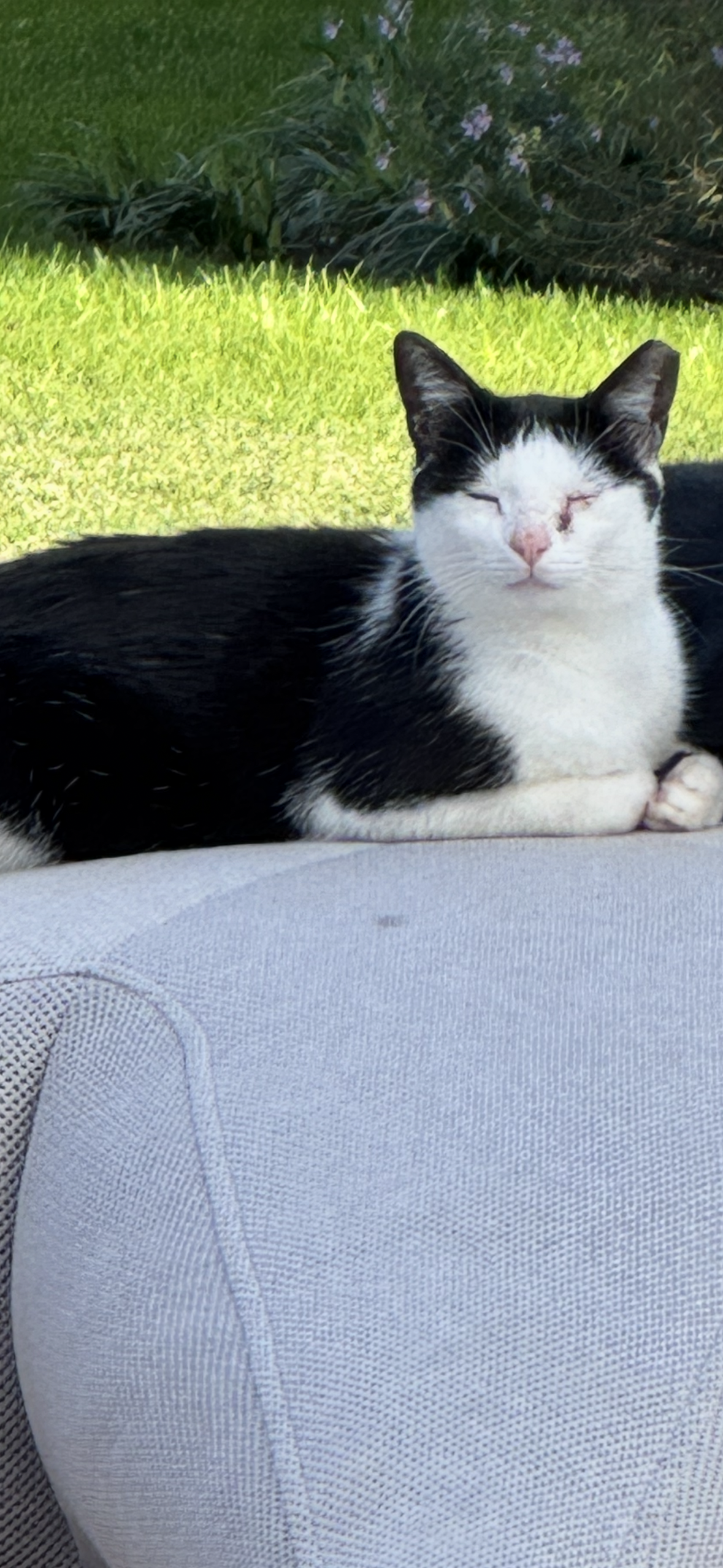 Margarida - Rua Dos Ulmeiros Da Marinha, Cascais