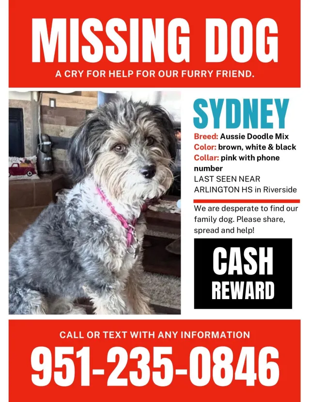 Sydney - Sedgwick Ave, Riverside