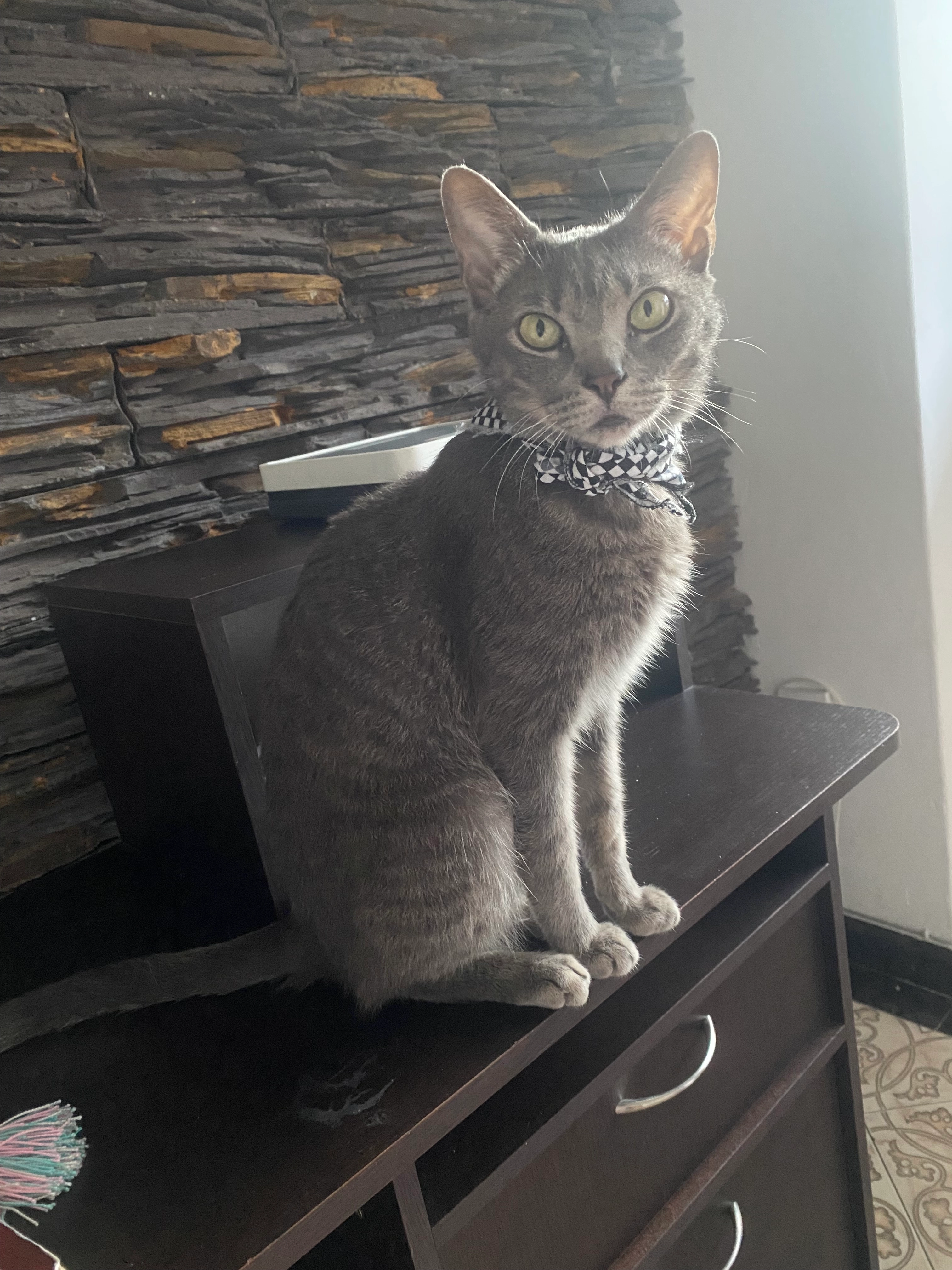 Pepe - Calle Carretera, Rebollo