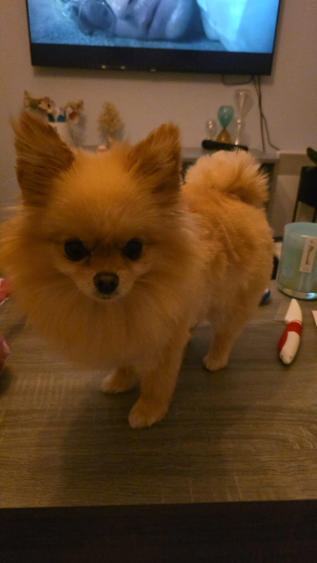 Bailey - De Korenaar, Flevoland