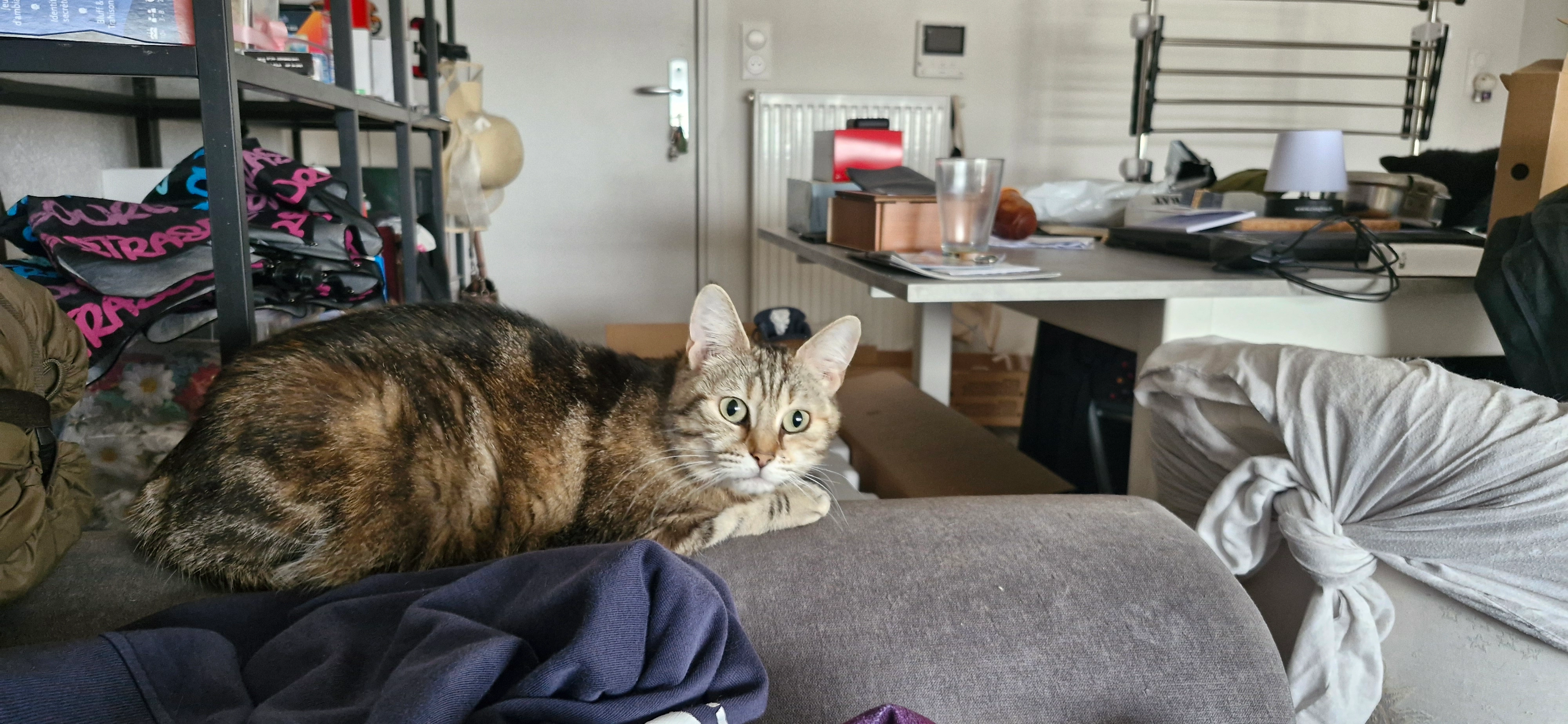 Gamora - Rue De La Division Leclerc, Brumath