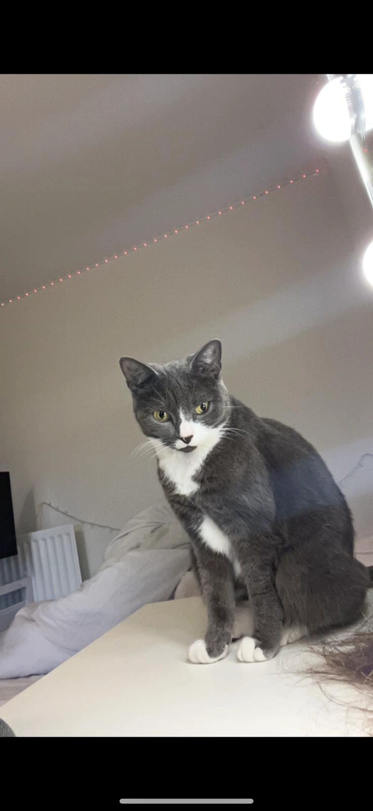 Minnie  - Berewood, Waterlooville