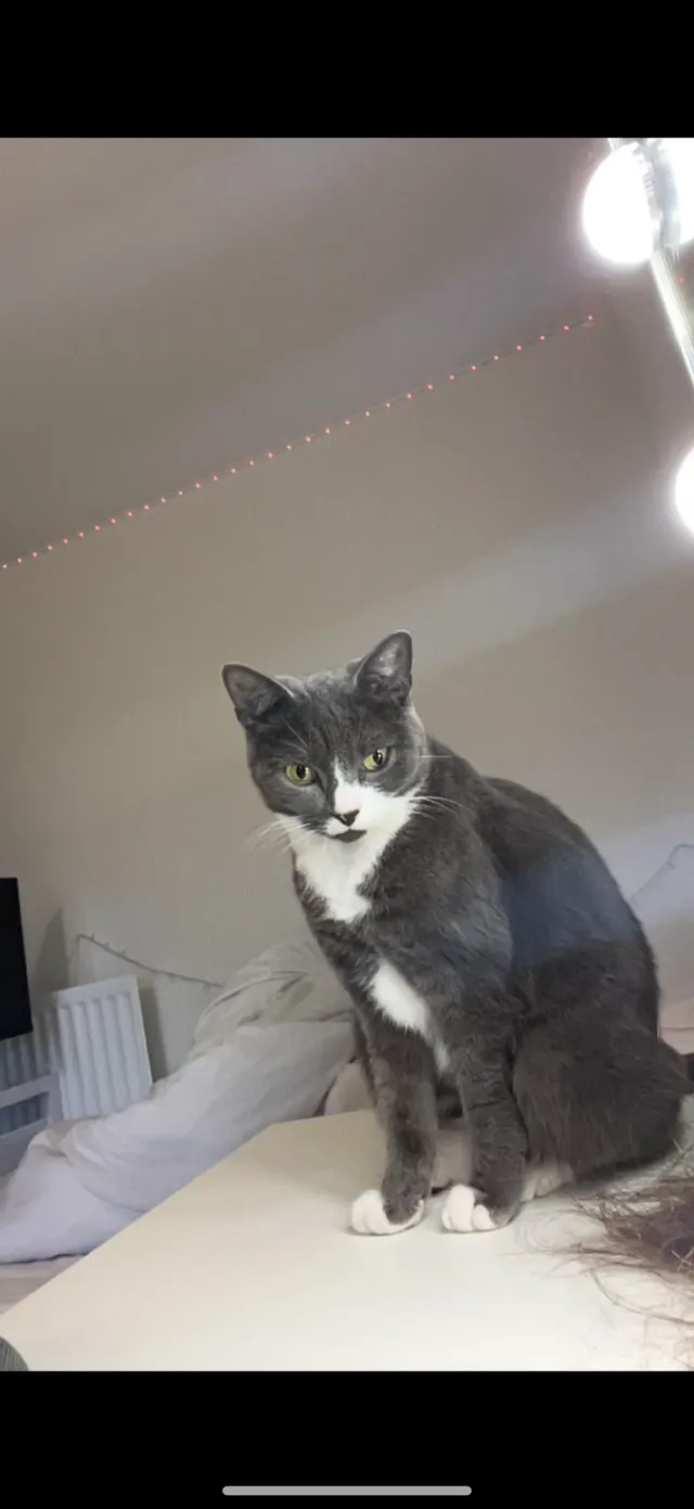 Minnie  - Berewood, Waterlooville