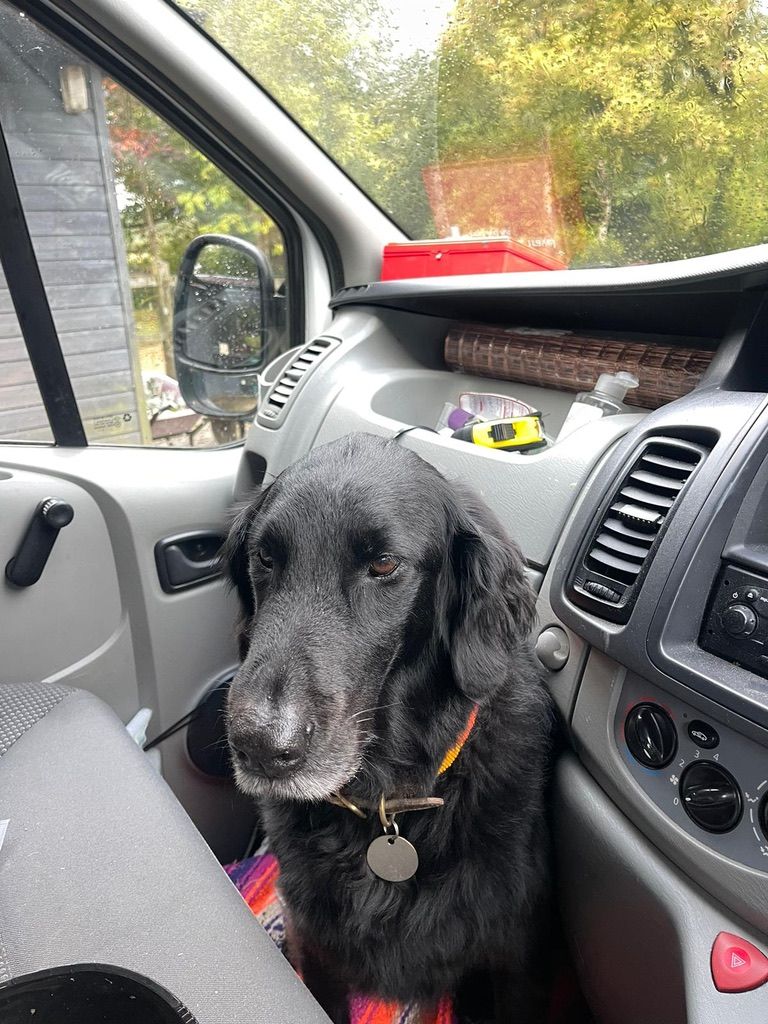 Echo - Churchlands Cottages, Billingshurst