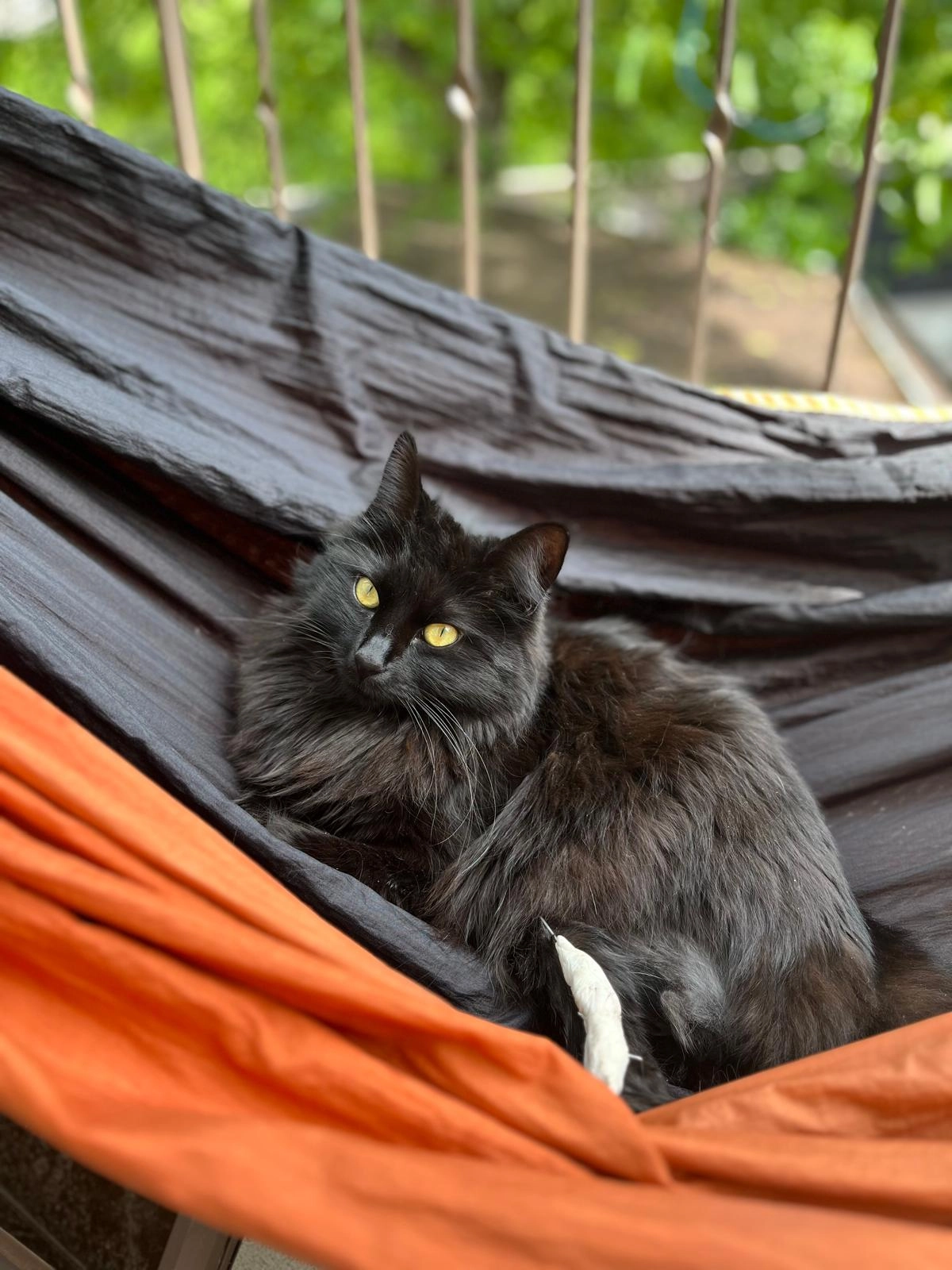 Momo - Contrada Novale di Sotto, Terlano