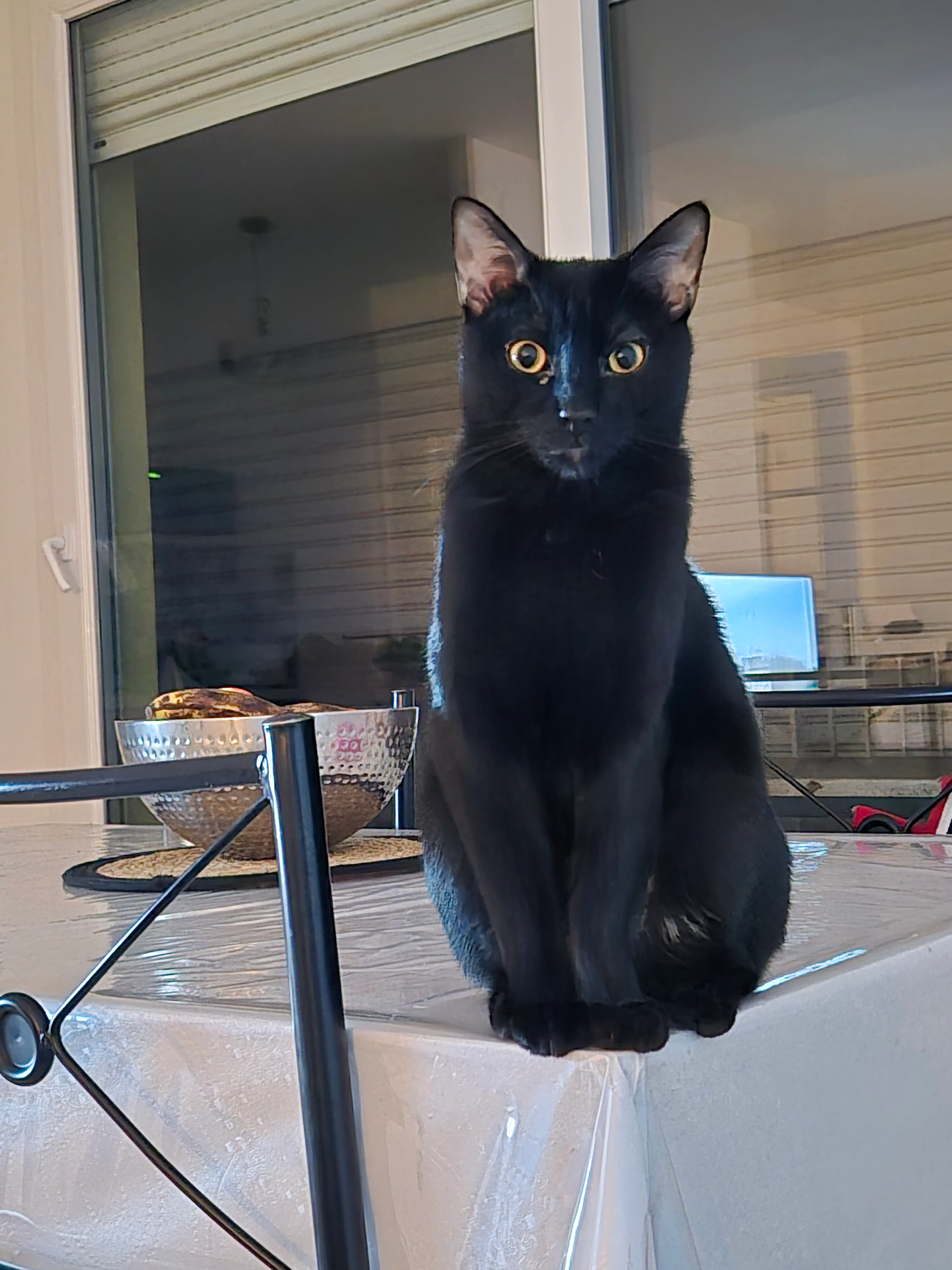 Buffy - Parc Jo Blanchon, Saint-Martin-d'Hères