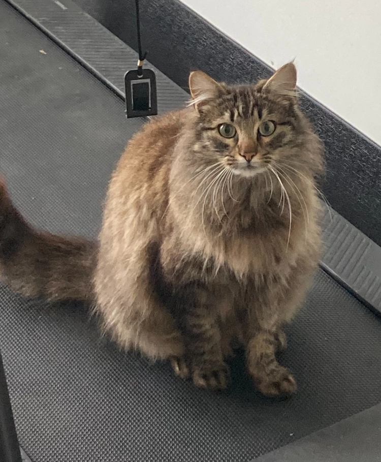 Ulysse - Lotissement De L'olivier, Agnos