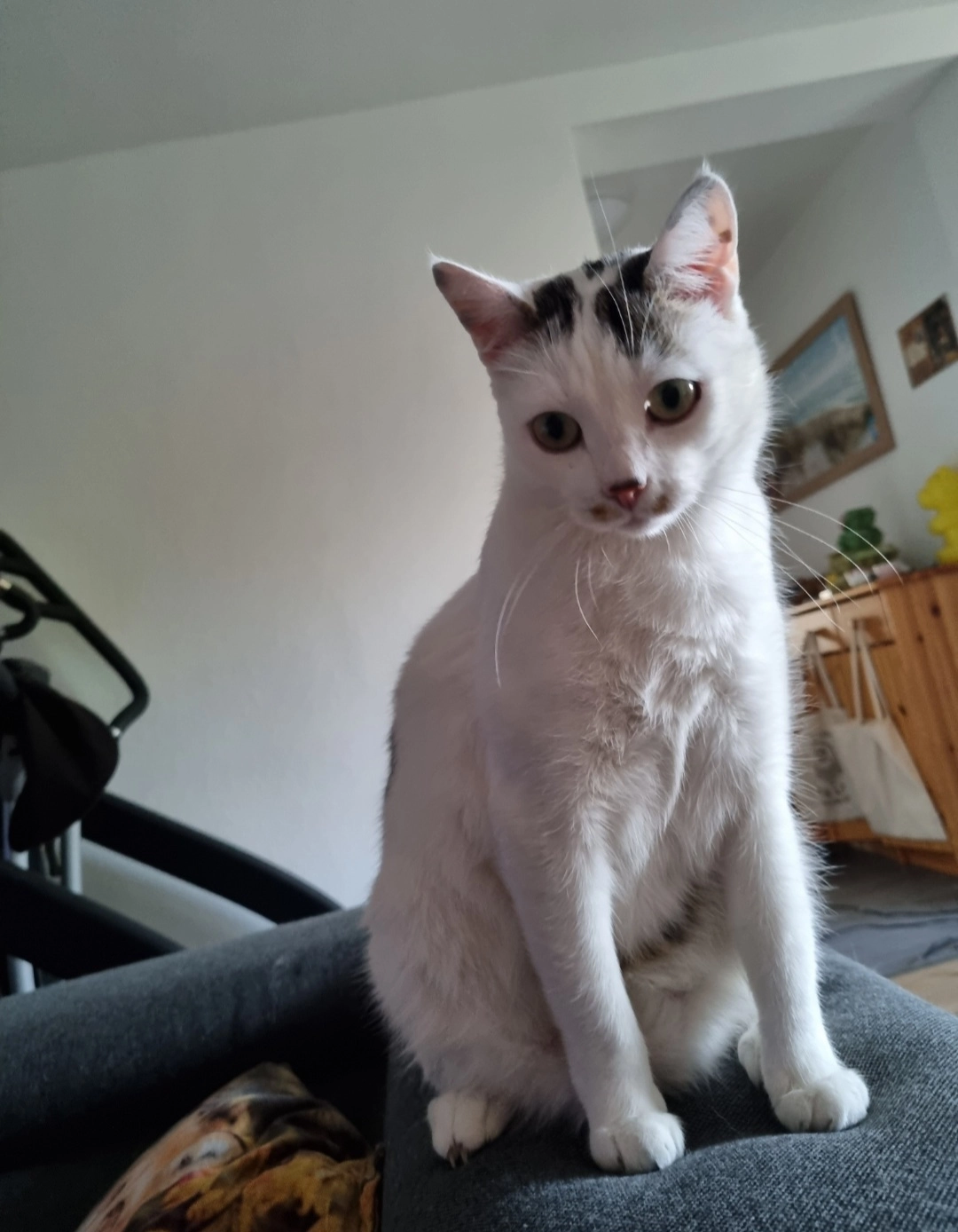 Stupps - Martin-Luther-Weg, Kehl