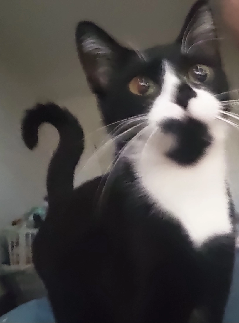 Luna - Trebbiner Straße 4, Luckenwalde