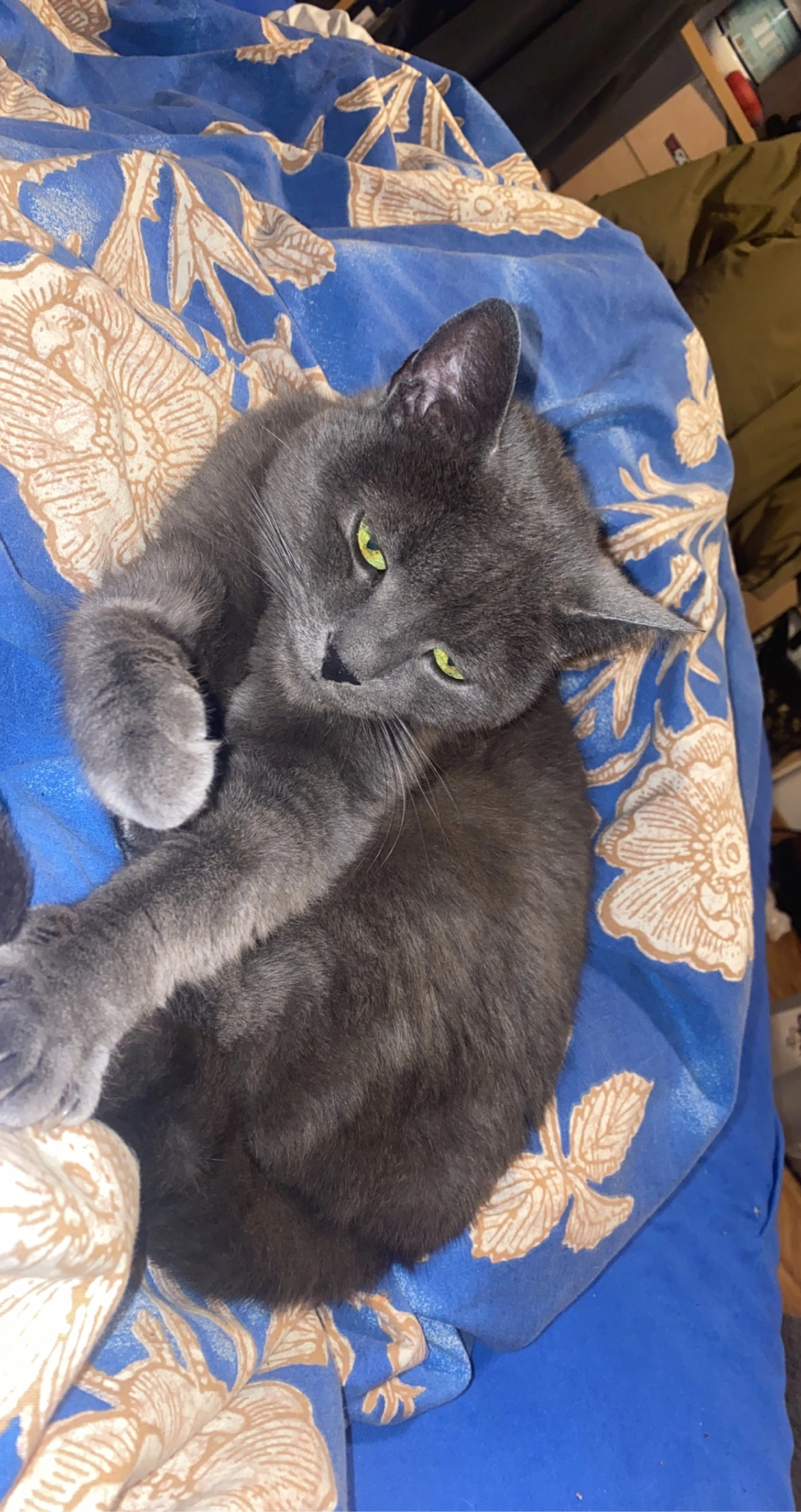 Lucky - Urichstraße, Landeck