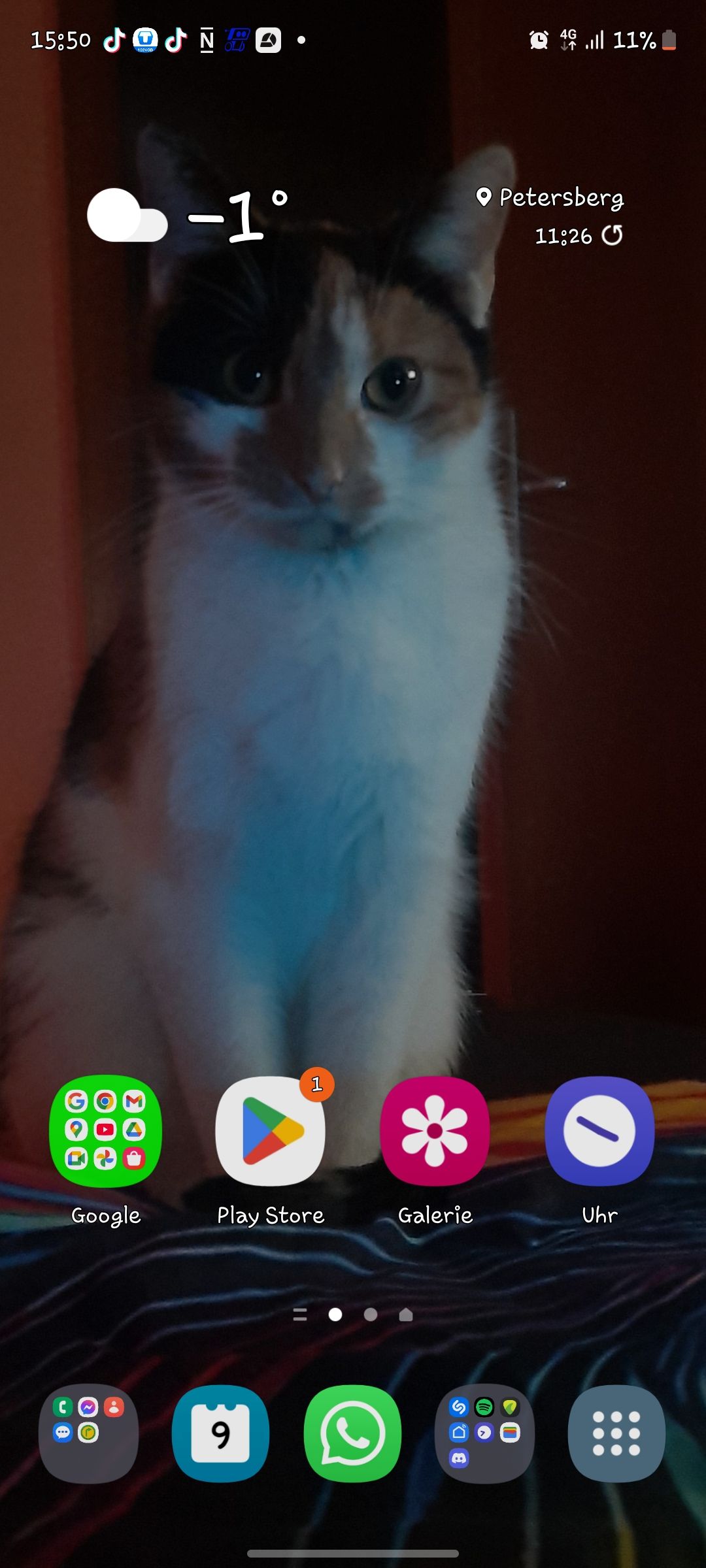 Leila - Rauschenbergstraße 23, Fulda