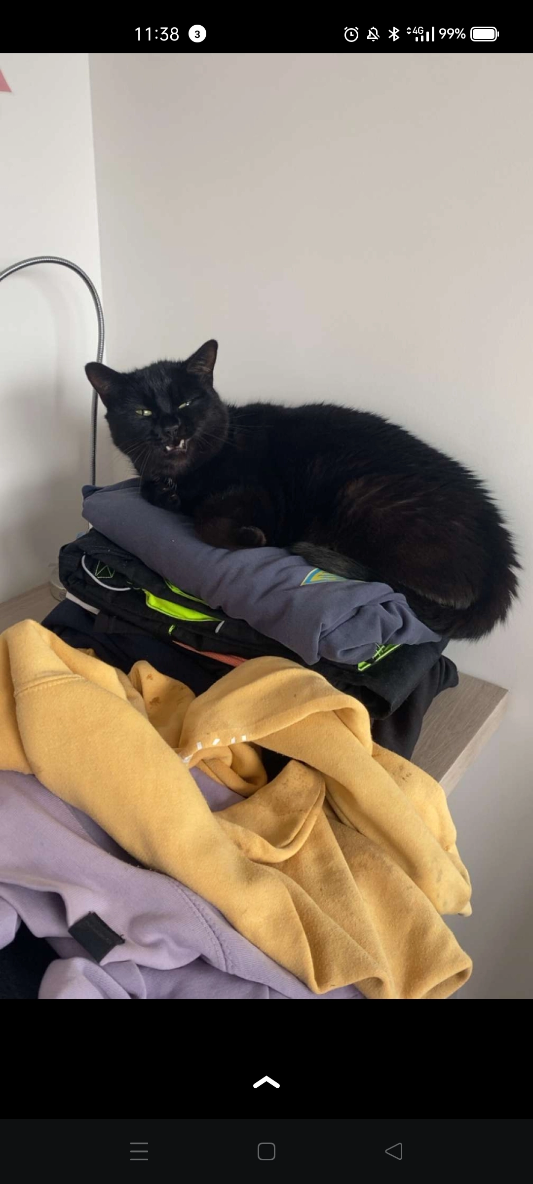 Nina - 1 Rue Jules Lebrun, Rennes