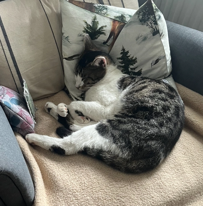 Coco - Gustav-Adolf-Straße, Lützen